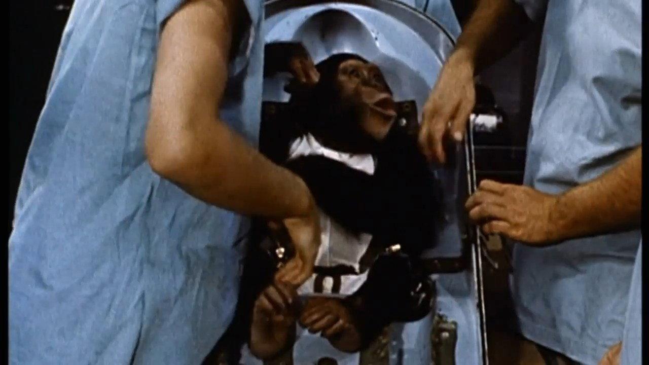 Ham: A Chimp into Space 2007 movie scene