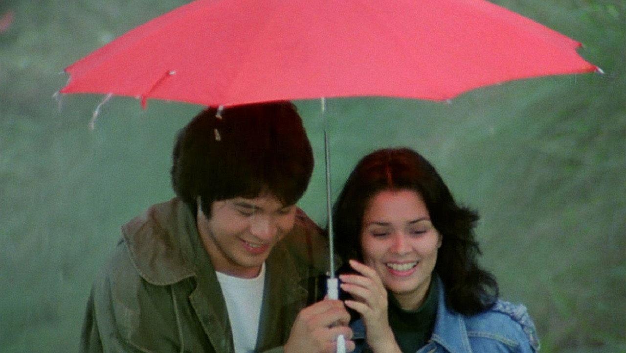 Moments in a Stolen Dream 1977 movie scene