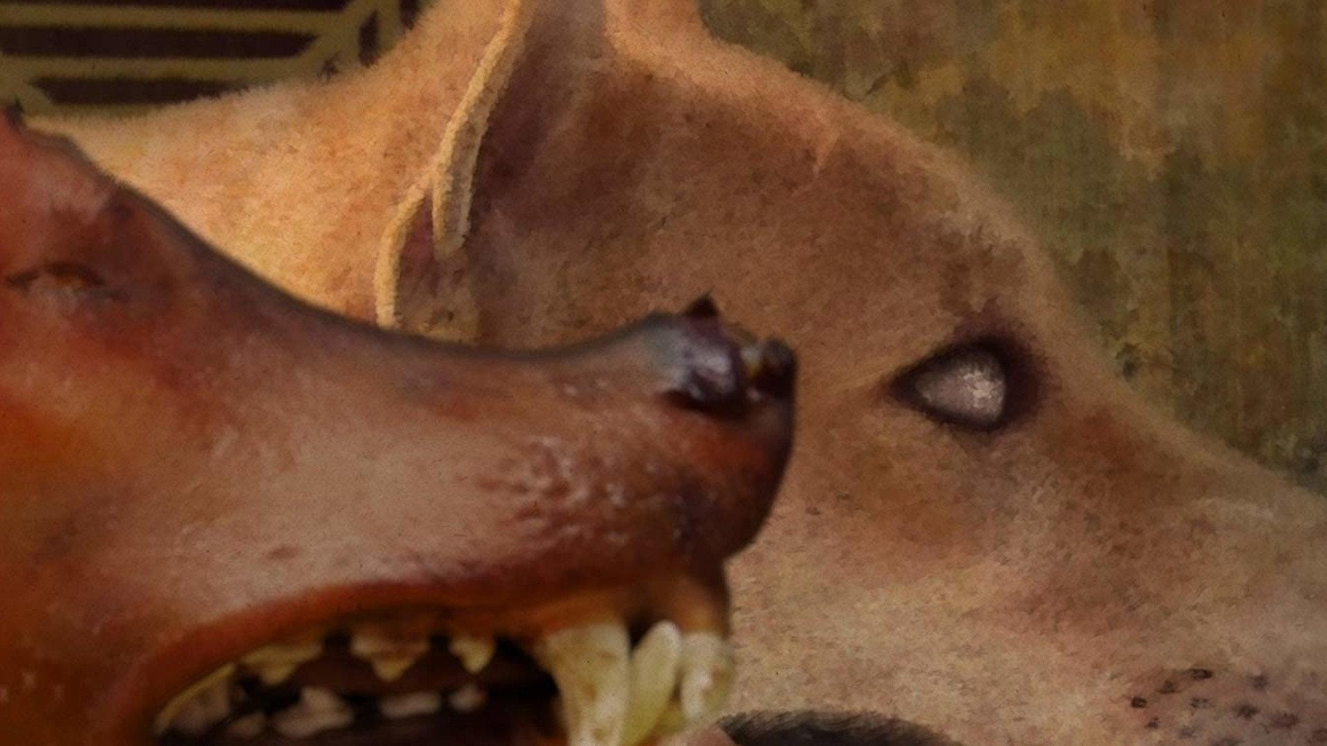 Cadavre Exquis 2018 movie scene