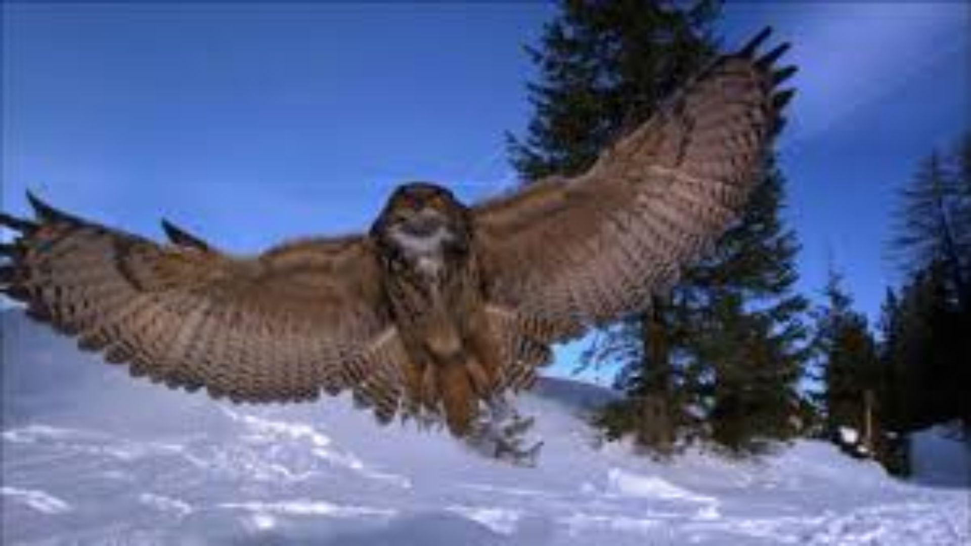 Der Flug der Eule 2013 movie scene