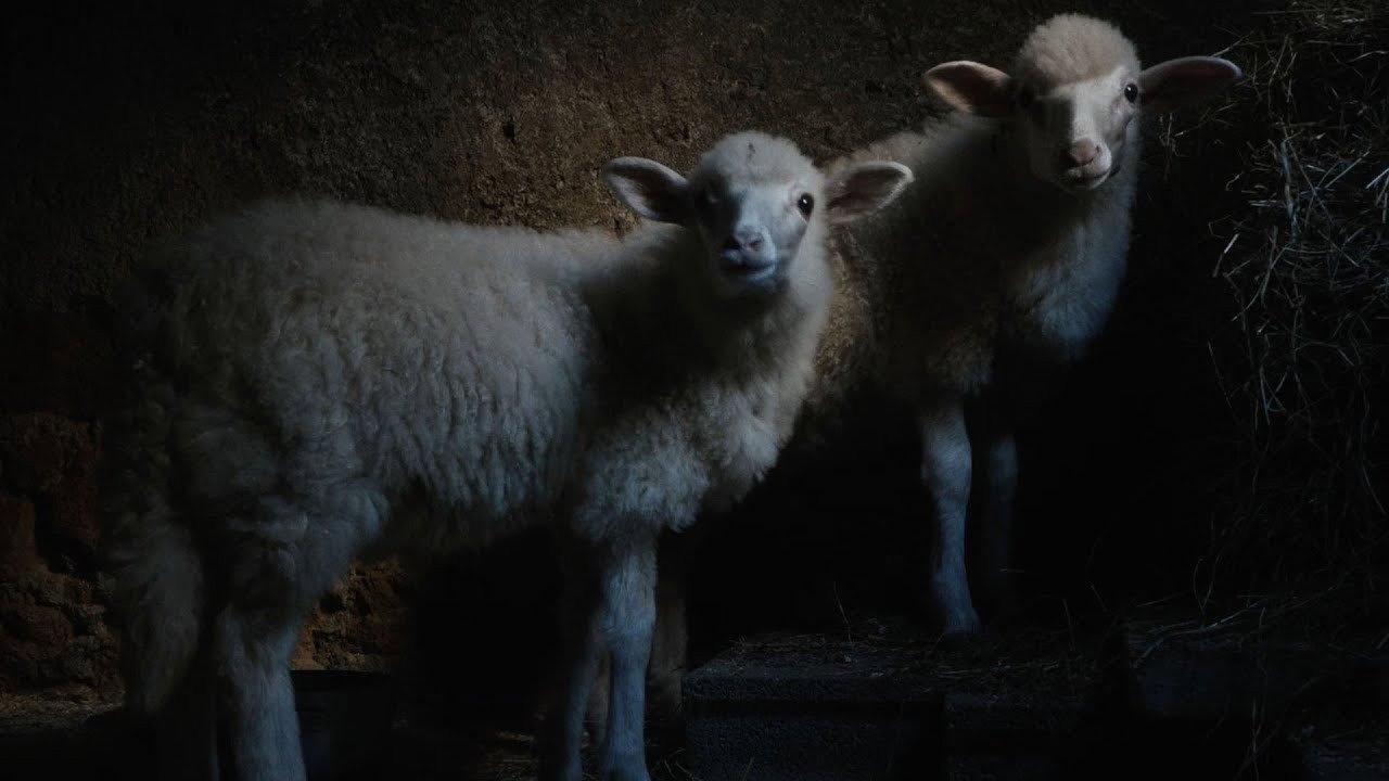 Agnus Dei 2025 movie scene