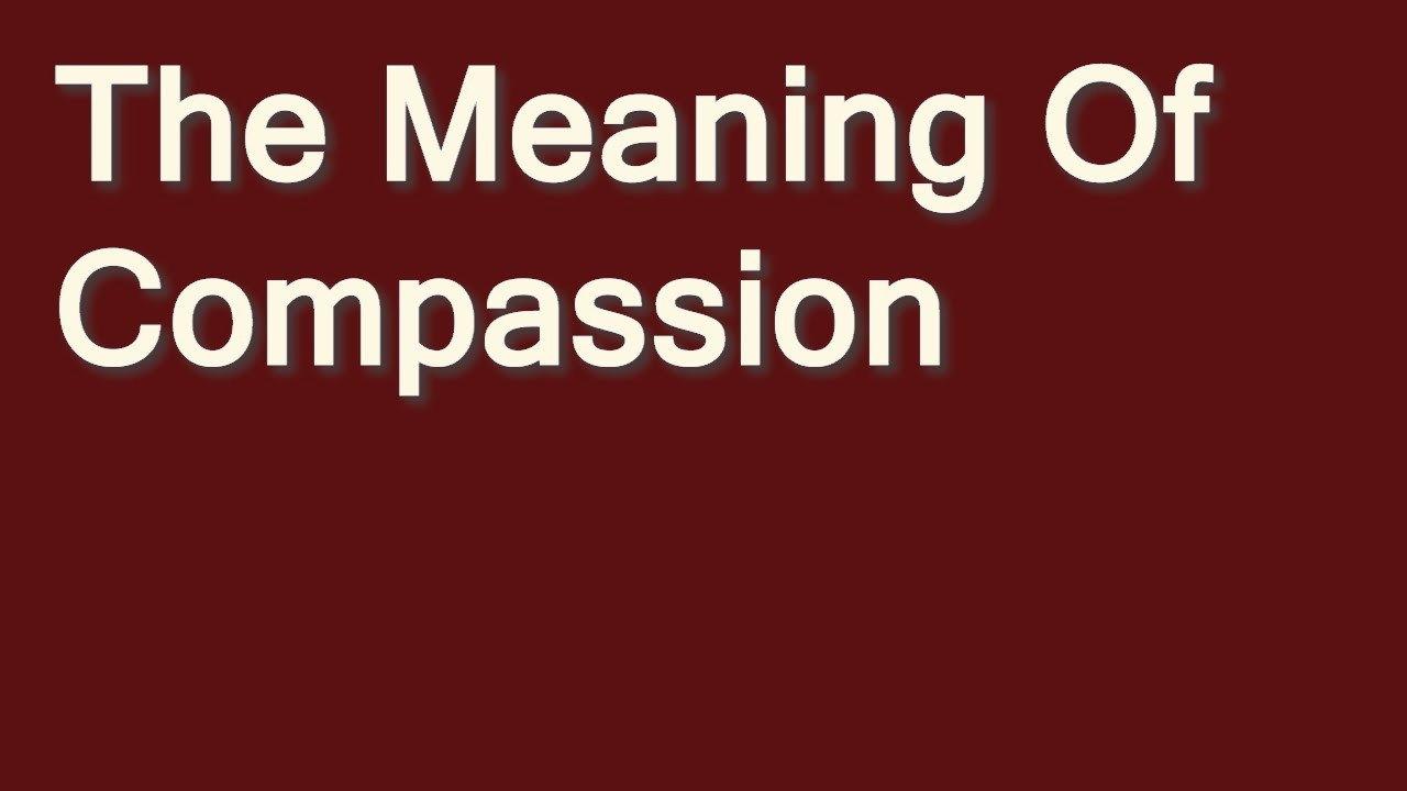 The Meaning of Compassion  movie scene
