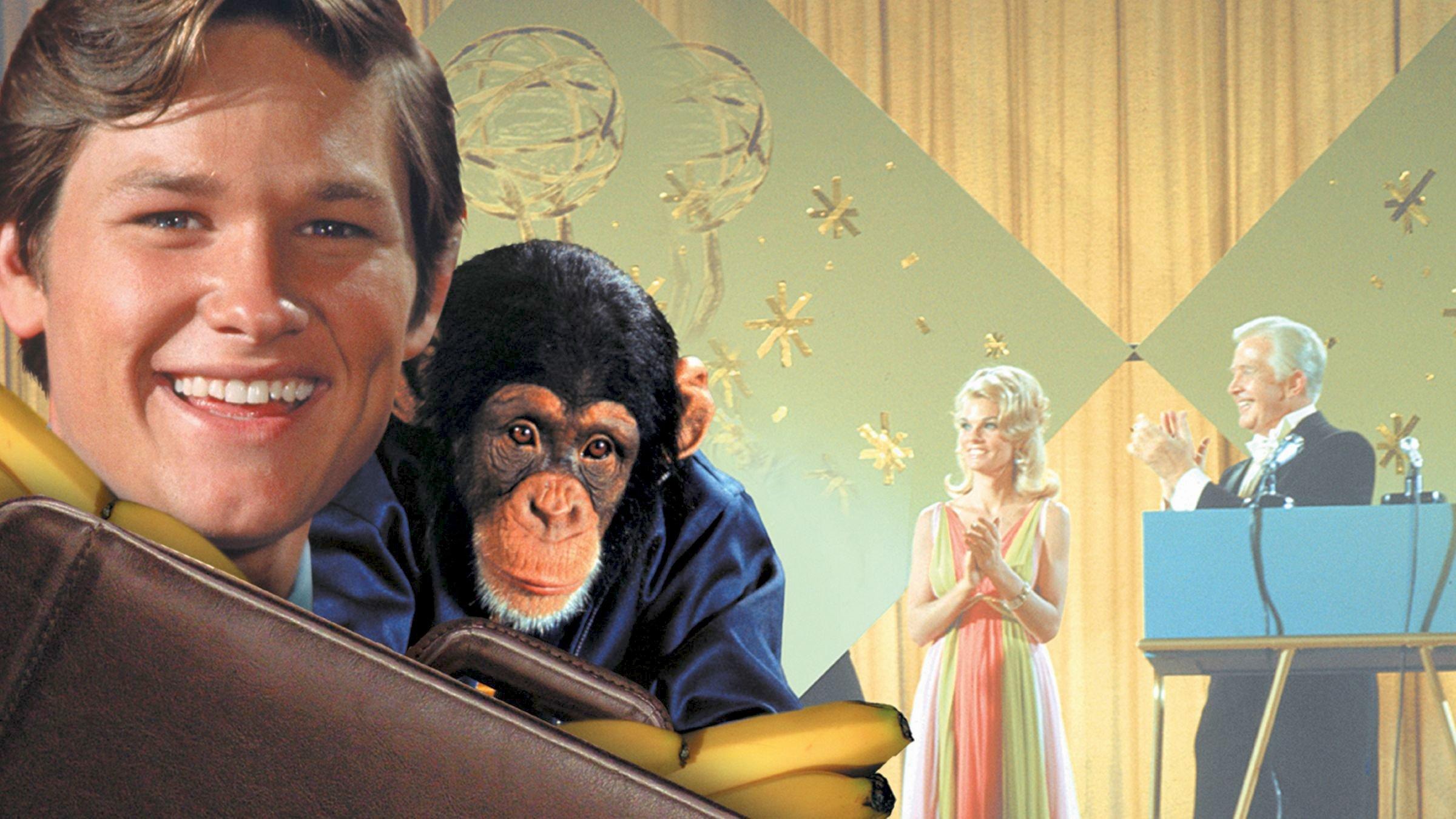 The Barefoot Executive 1971 movie scene
