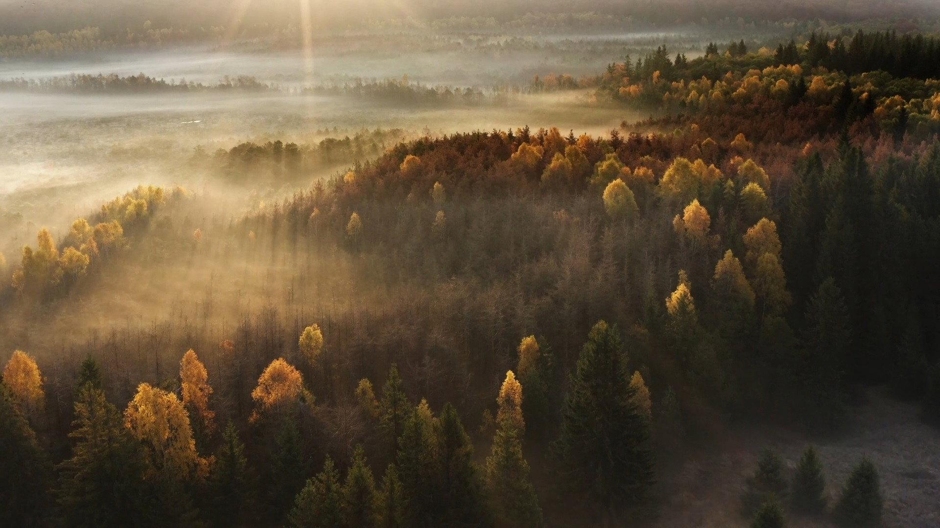 Wild Romania 2021 movie scene