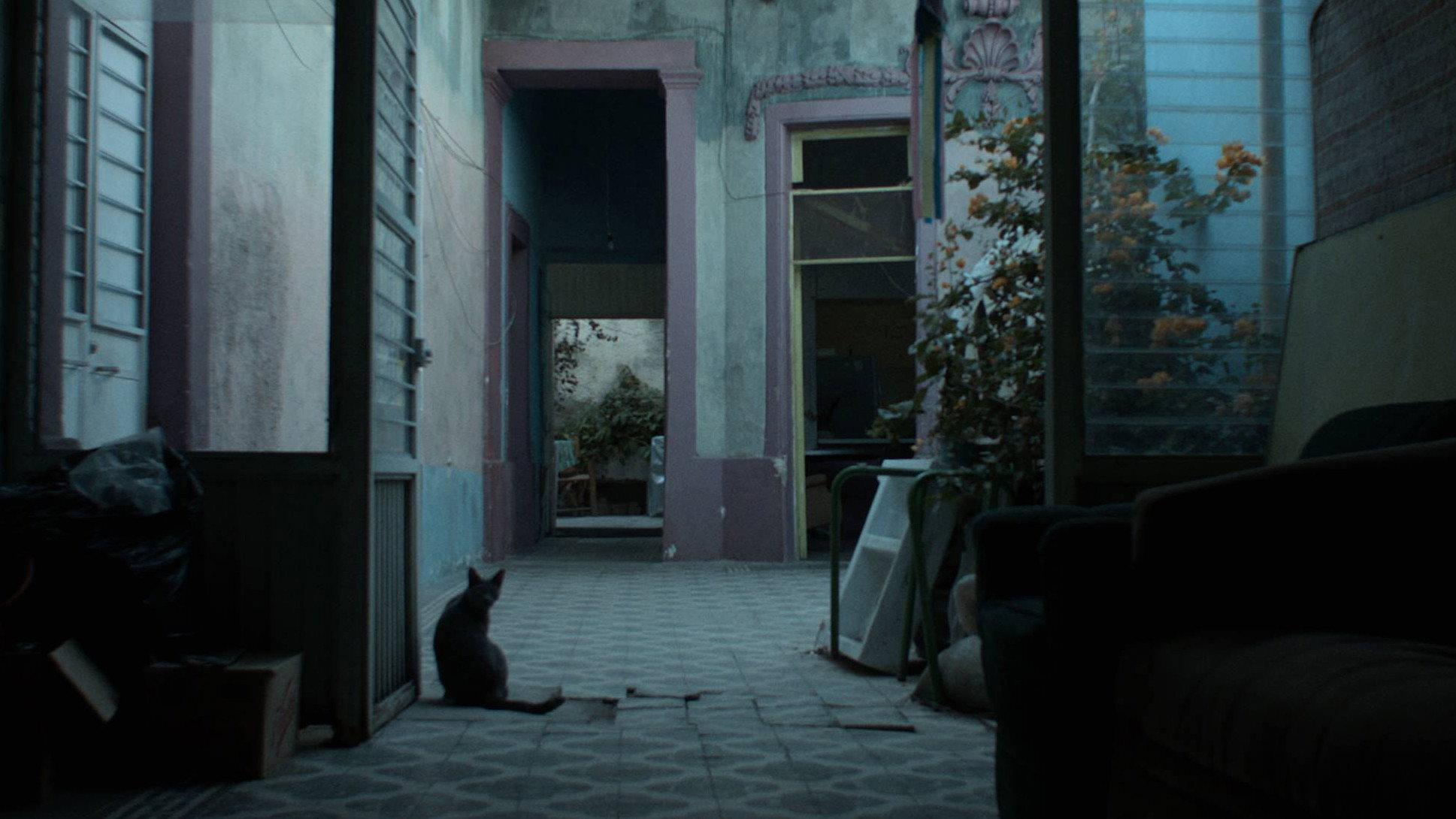 The Blue Years 2017 movie scene