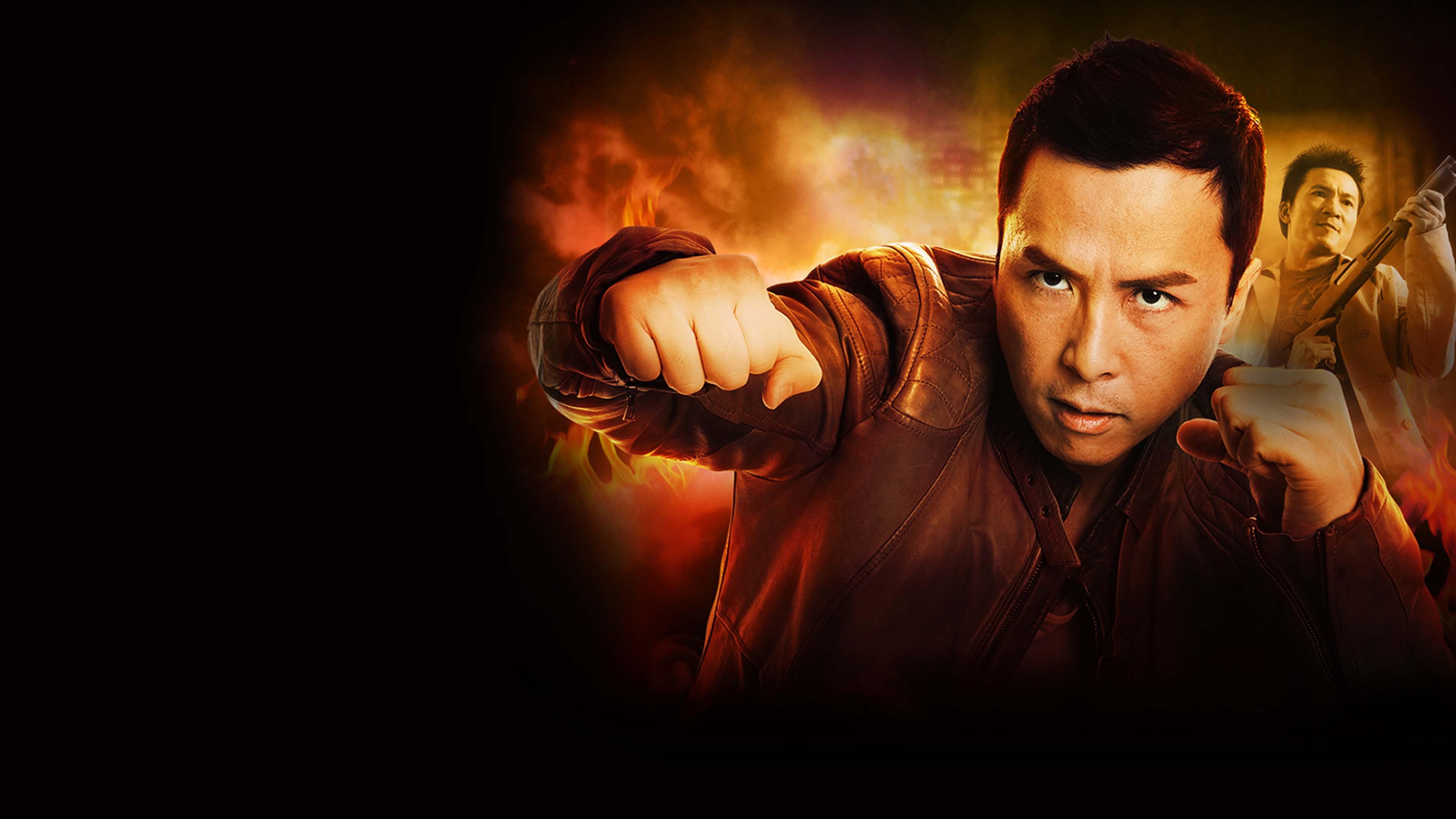 Flash Point 2007 movie scene