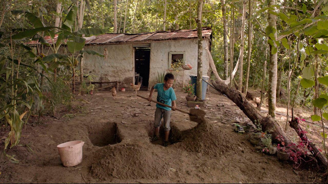 Swamp 2017 movie scene