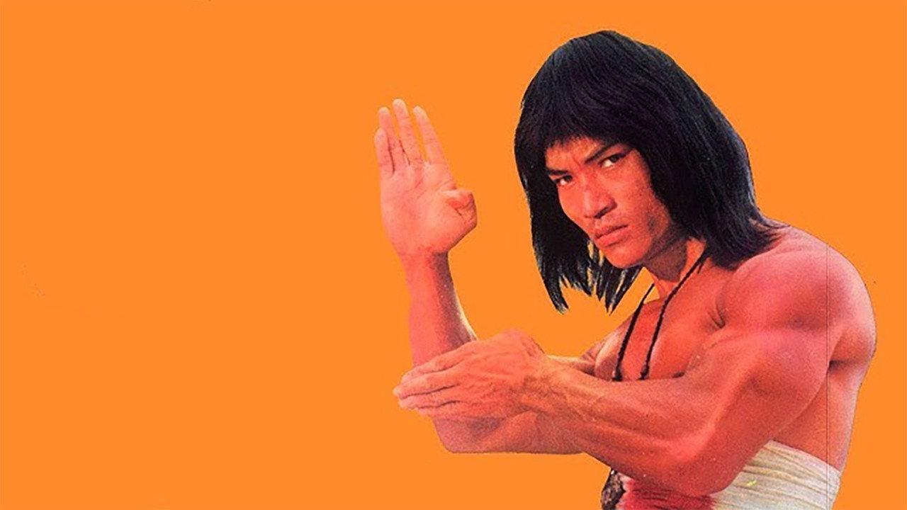 Bruce Lee's Ways of Kung Fu 1979 movie scene