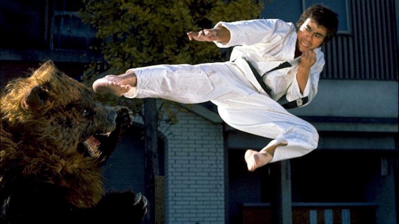 Karate Bear Fighter 1975 movie scene