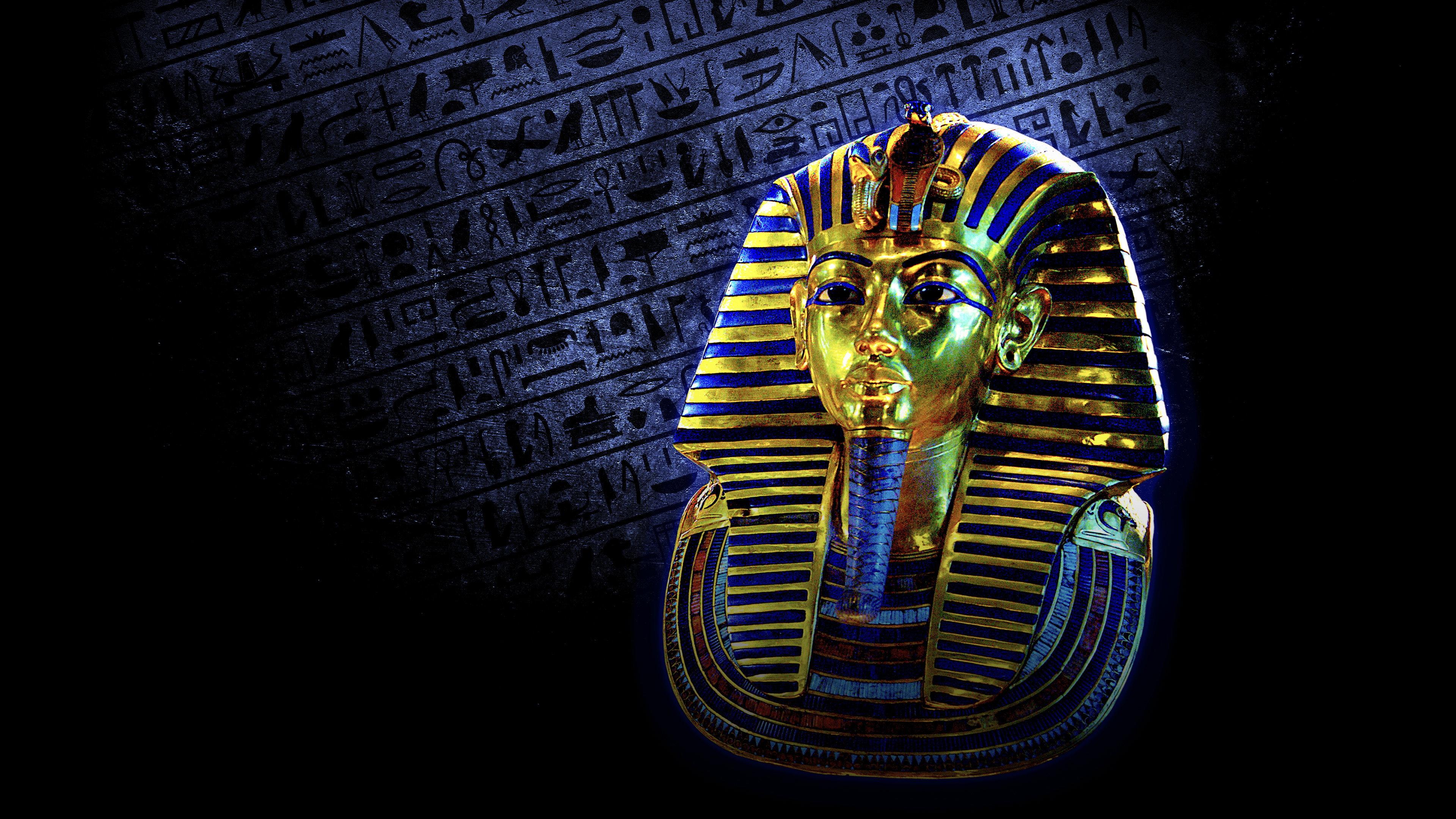 Ultimate Tutankhamun 2013 movie scene