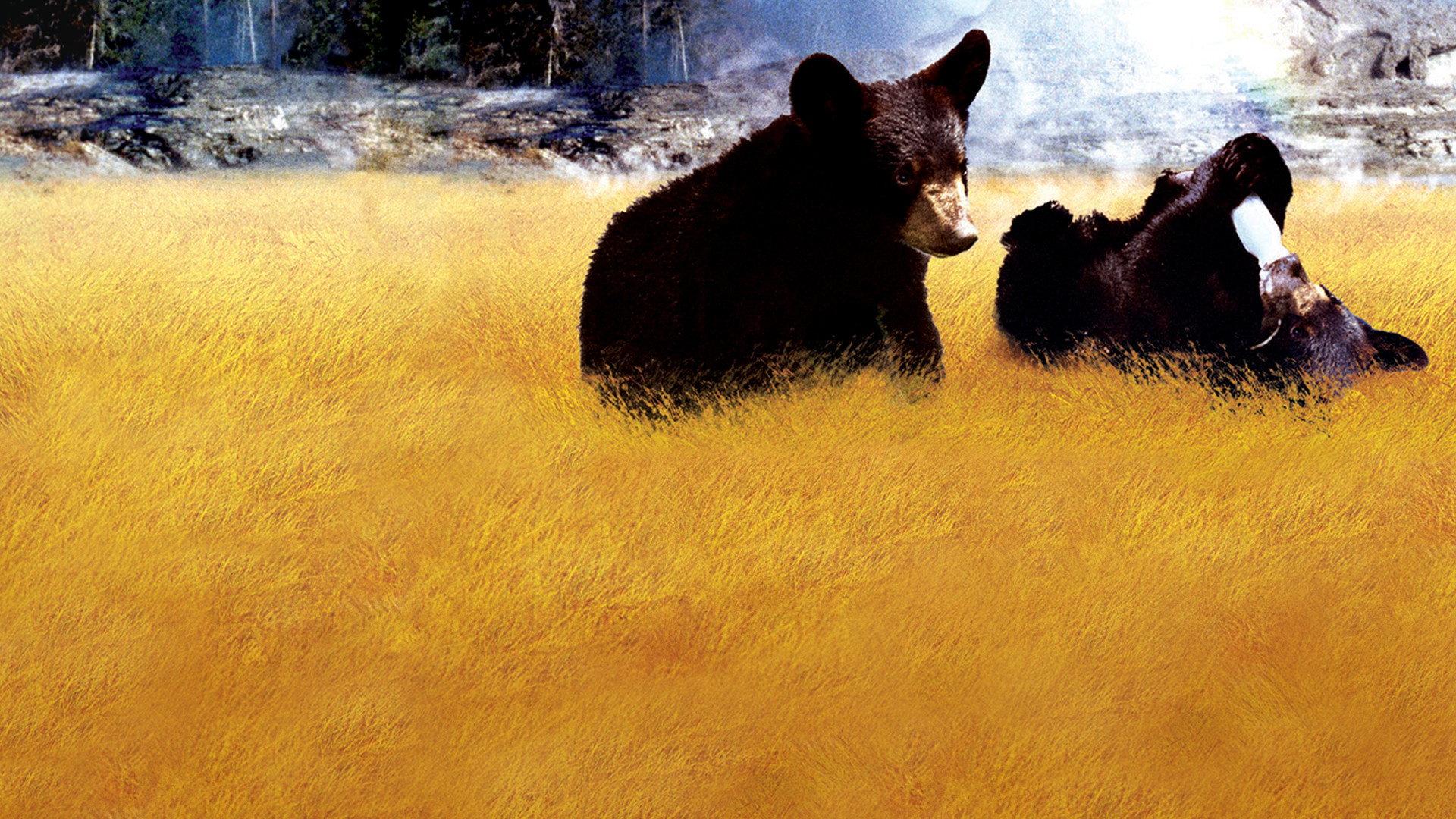 Yellowstone Cubs 1963 movie scene