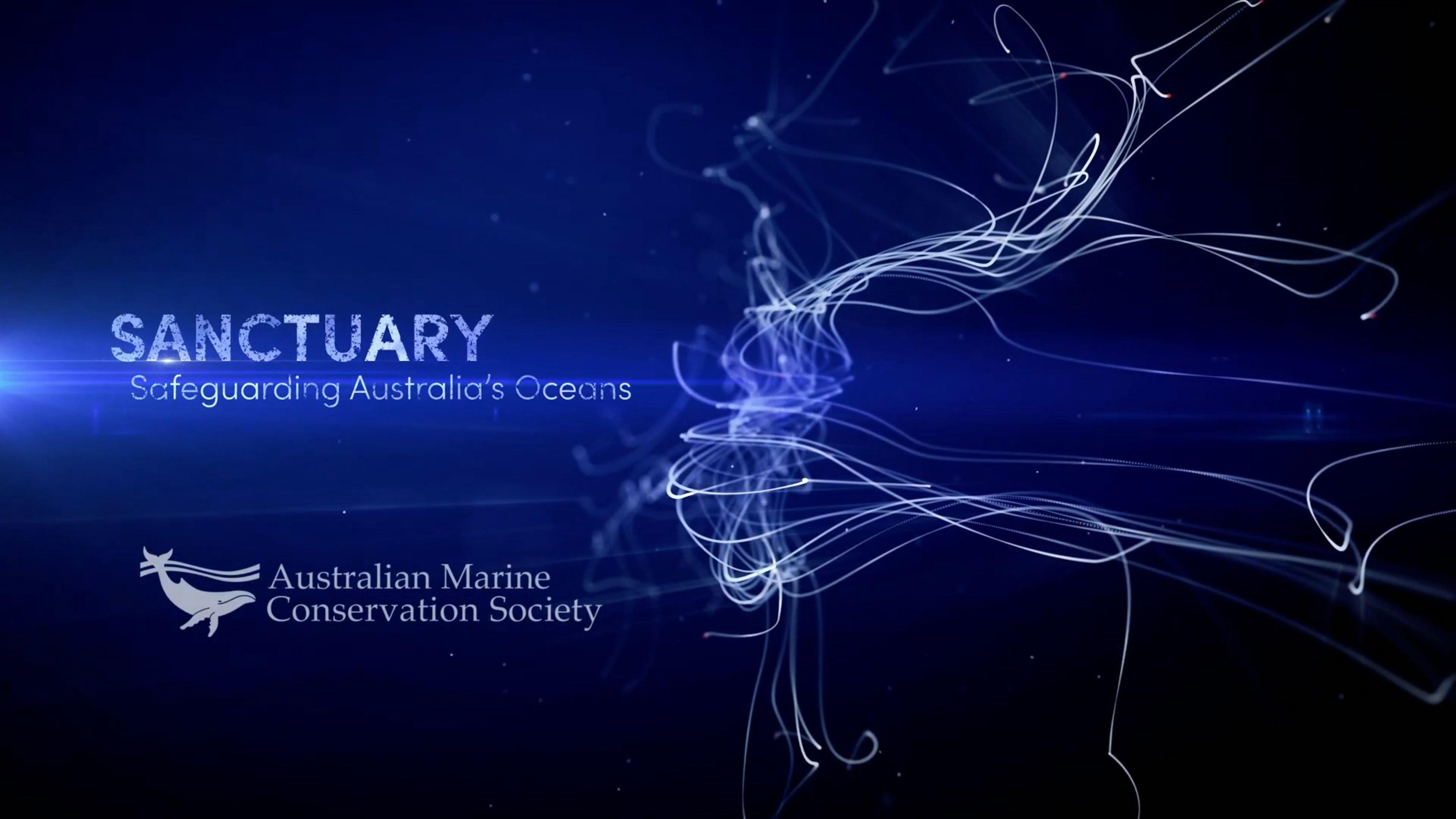 SANCTUARY - Safeguarding Australia's Oceans 2024 movie scene