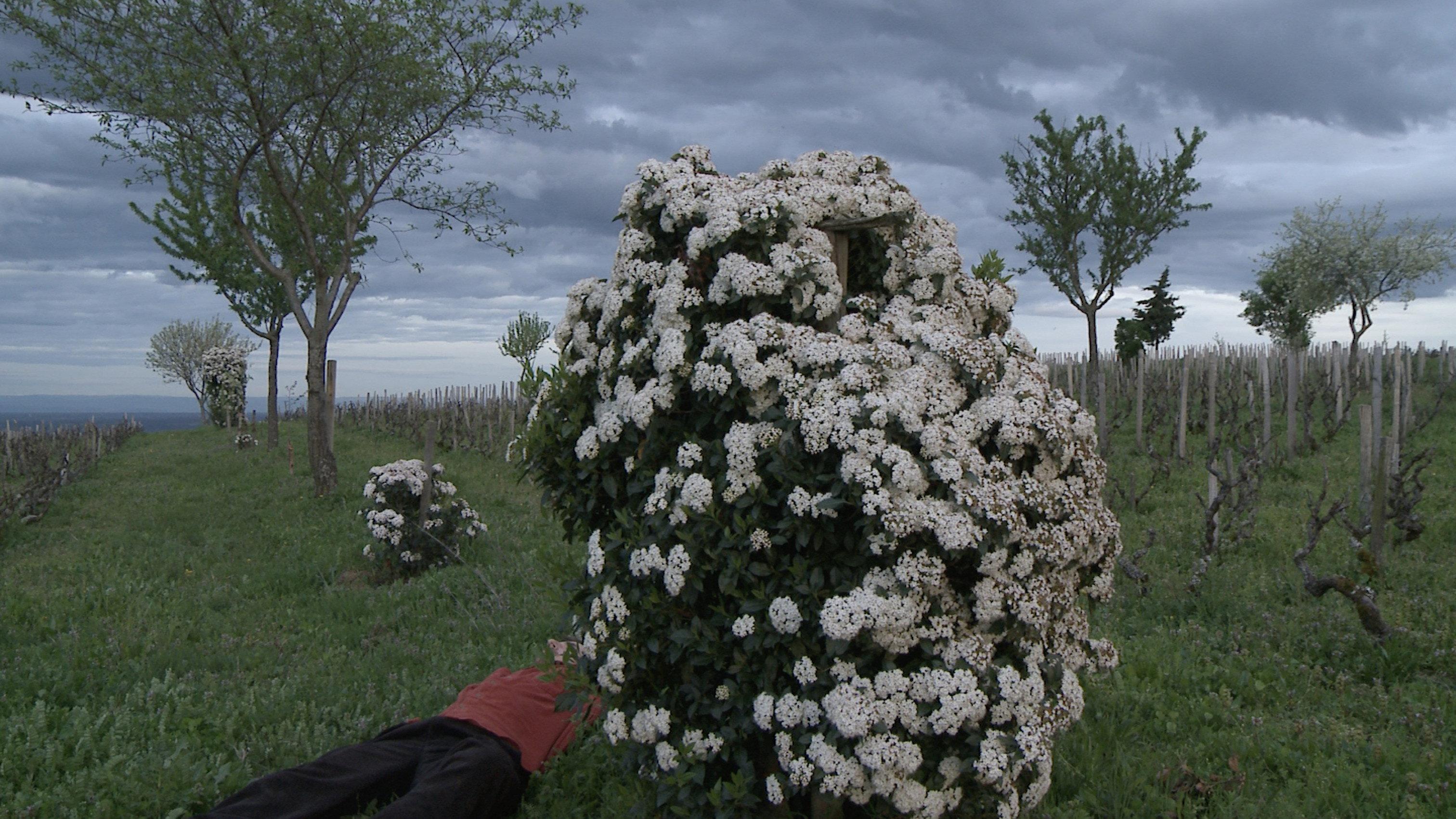 Terroir 2025 movie scene