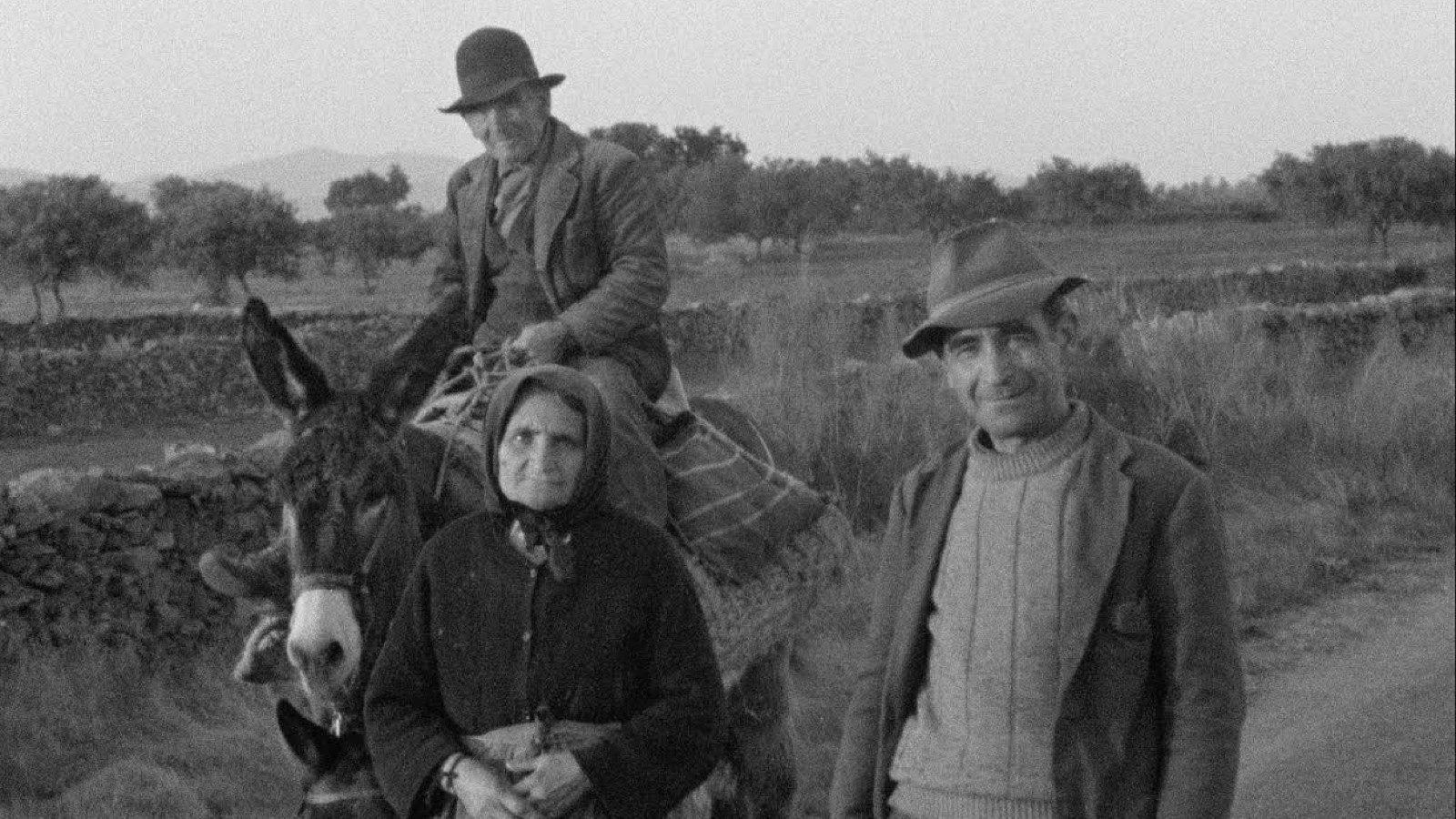 Spain! 1973 movie scene