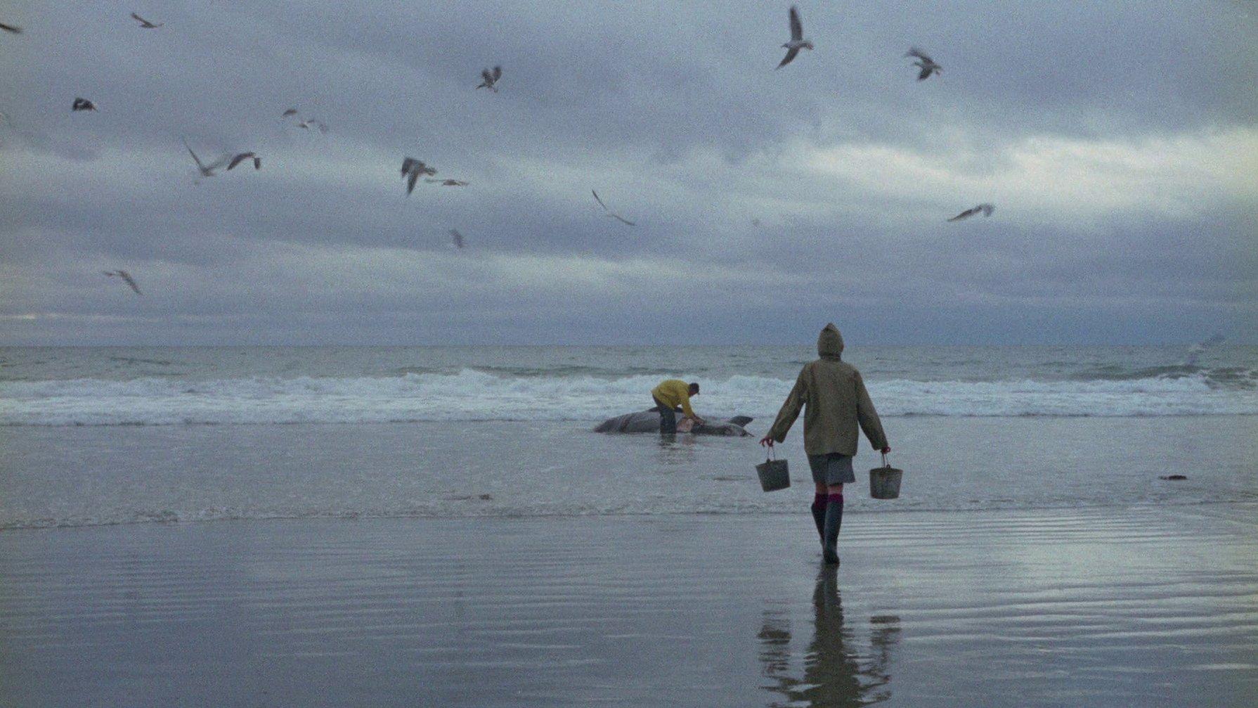 Ring of Bright Water 1969 movie scene