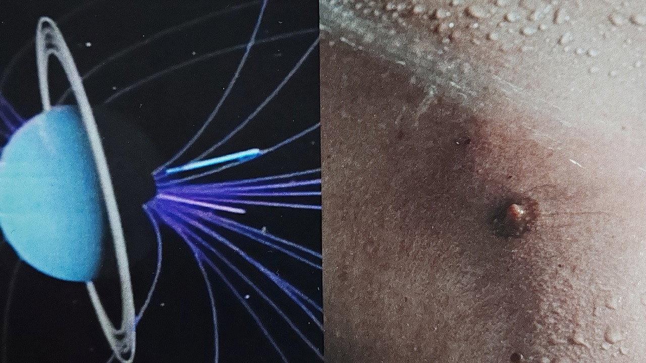 The Beginning of Identification, and its End 2024 movie scene