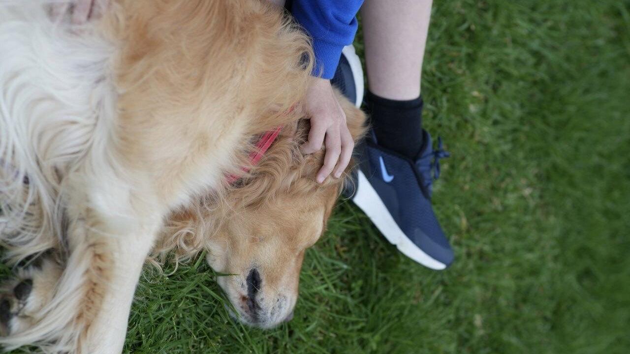 A Boy and His Dog 2025 movie scene