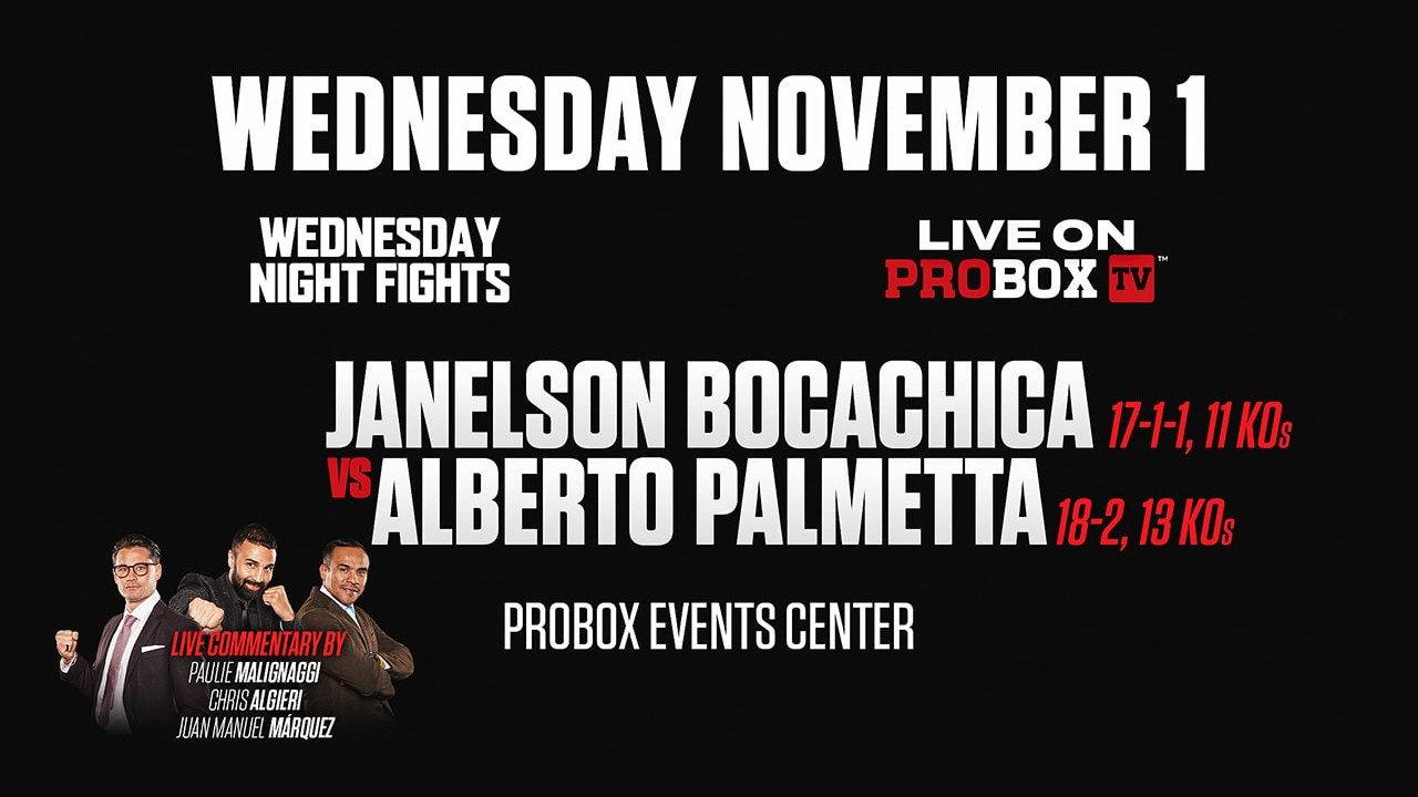 Janelson Bocachica vs. Alberto Palmetta 2023 movie scene