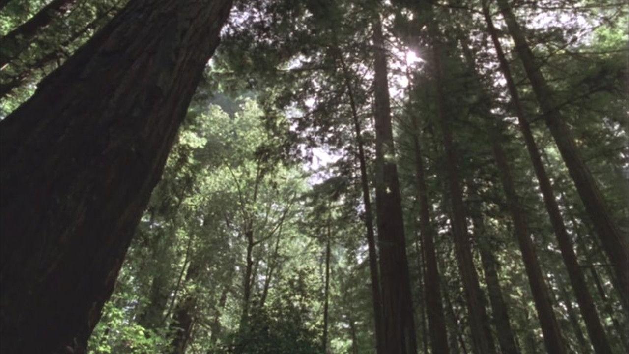 Redwood Curtain 1995 movie scene