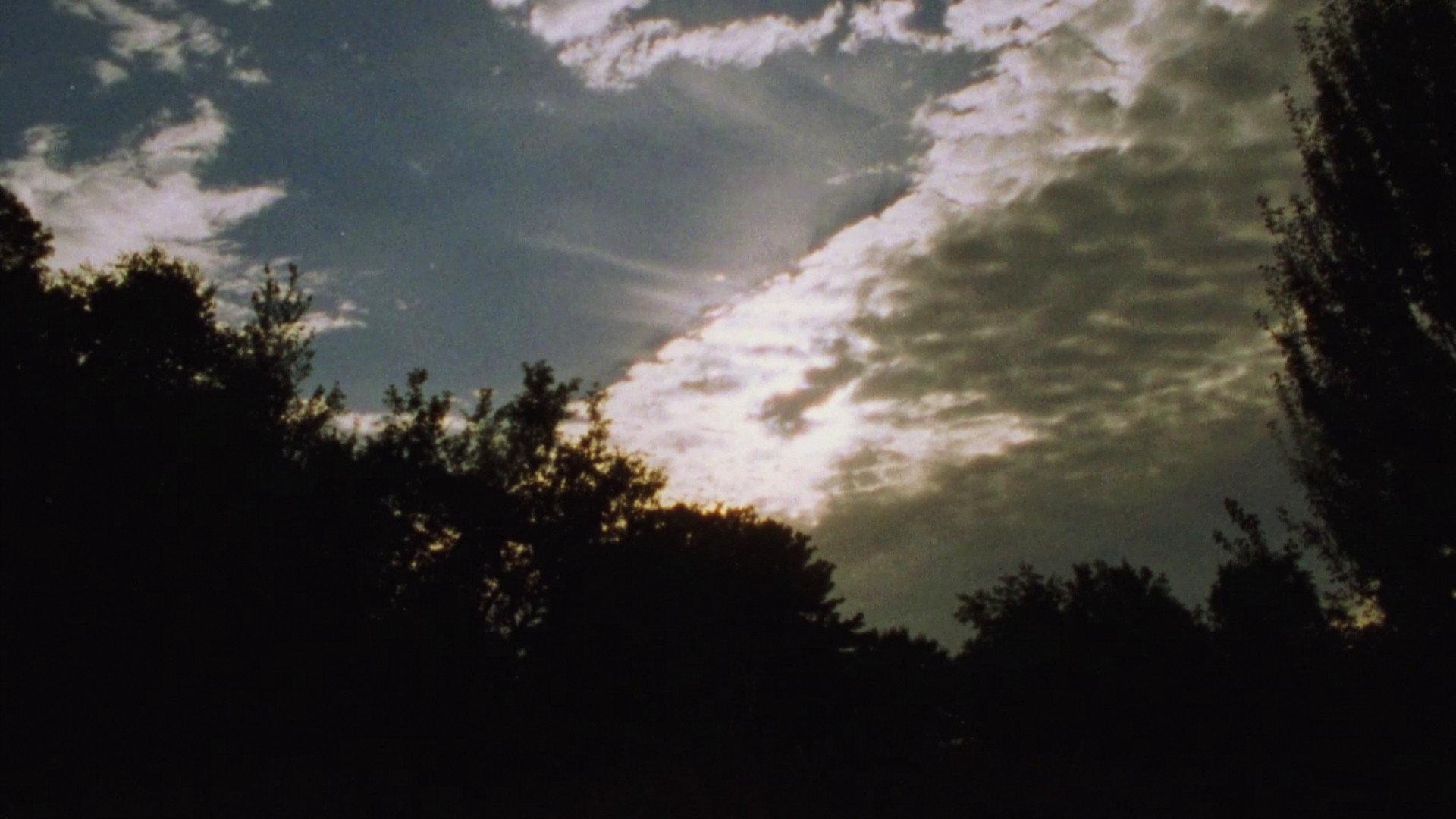 Evergreen 2005 movie scene