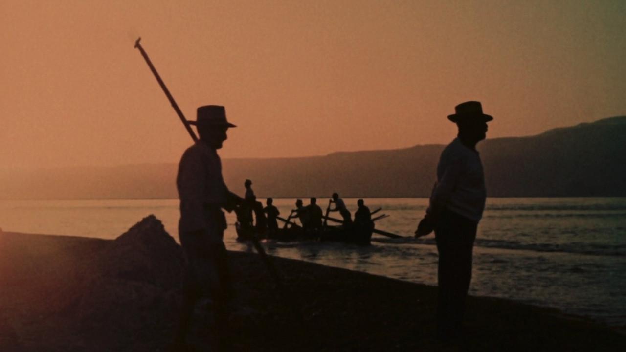 The Age of Swordfish 1955 movie scene