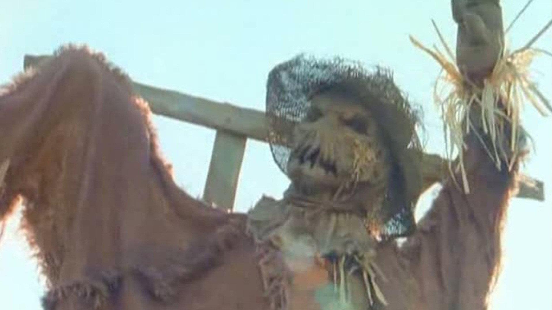 Goosebumps: The Scarecrow Walks at Midnight 1996 movie scene