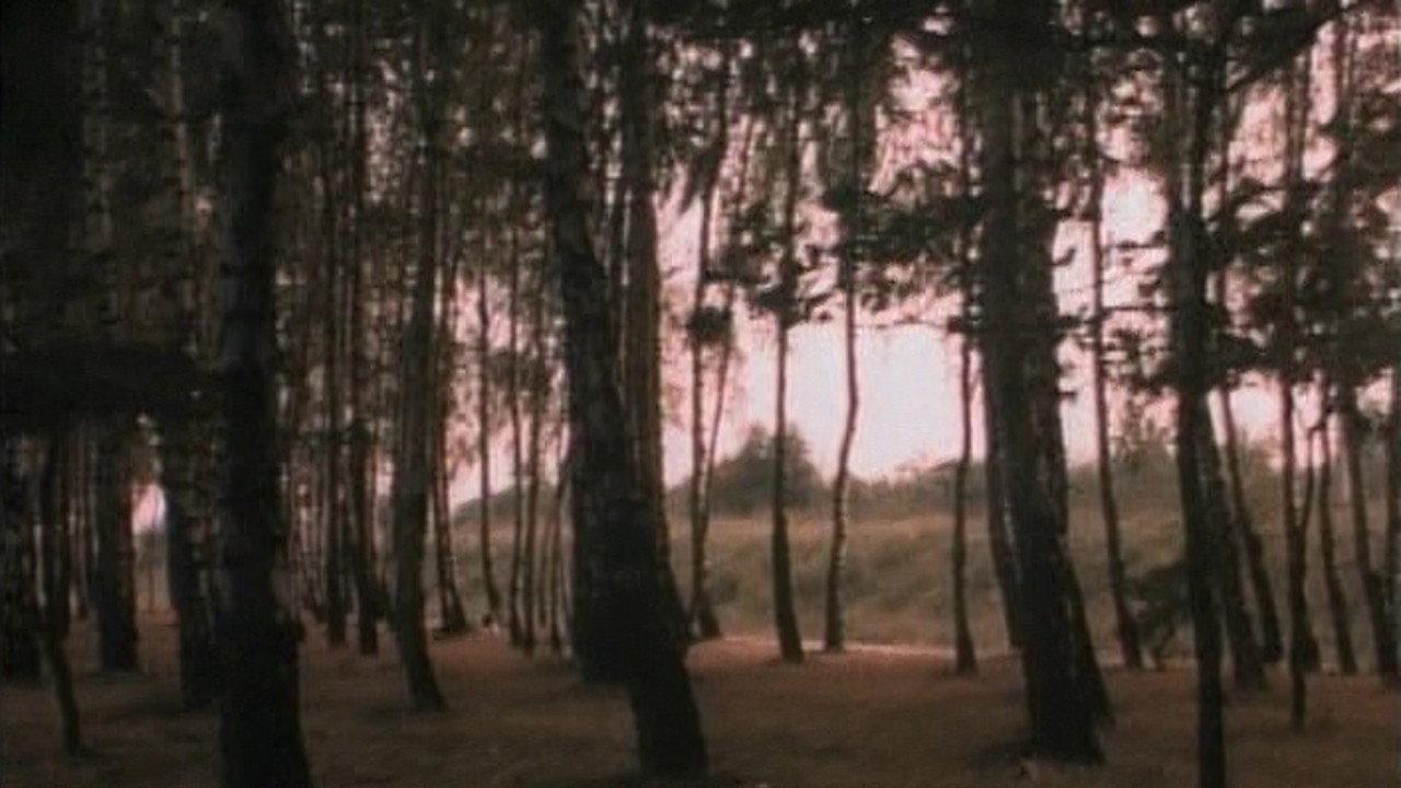 Oh! I Can't Stop! 1976 movie scene