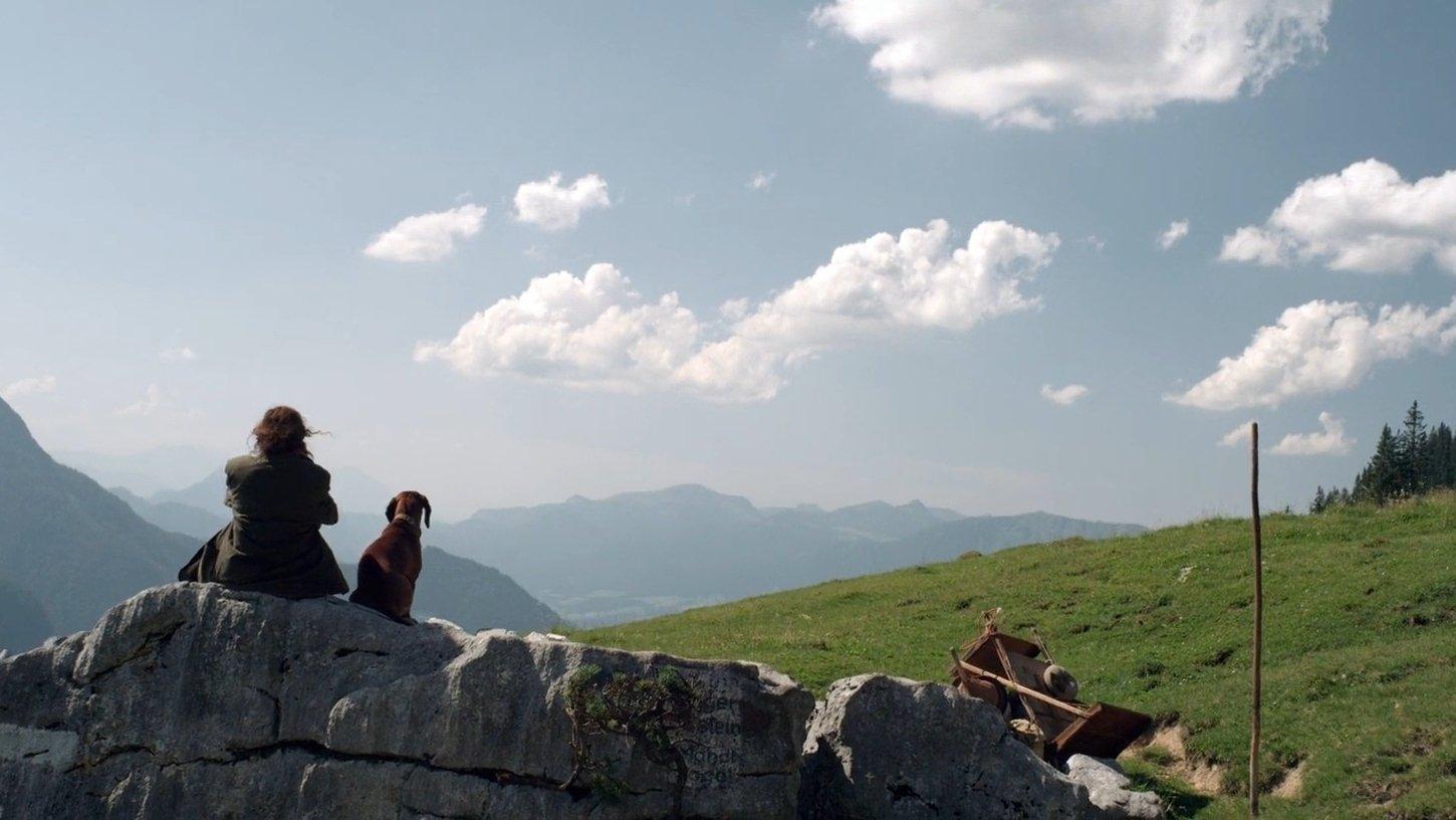 The Wall 2012 movie scene