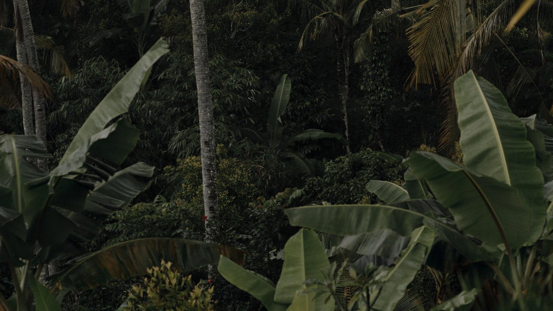 Possibility of Paradise 2024 movie scene