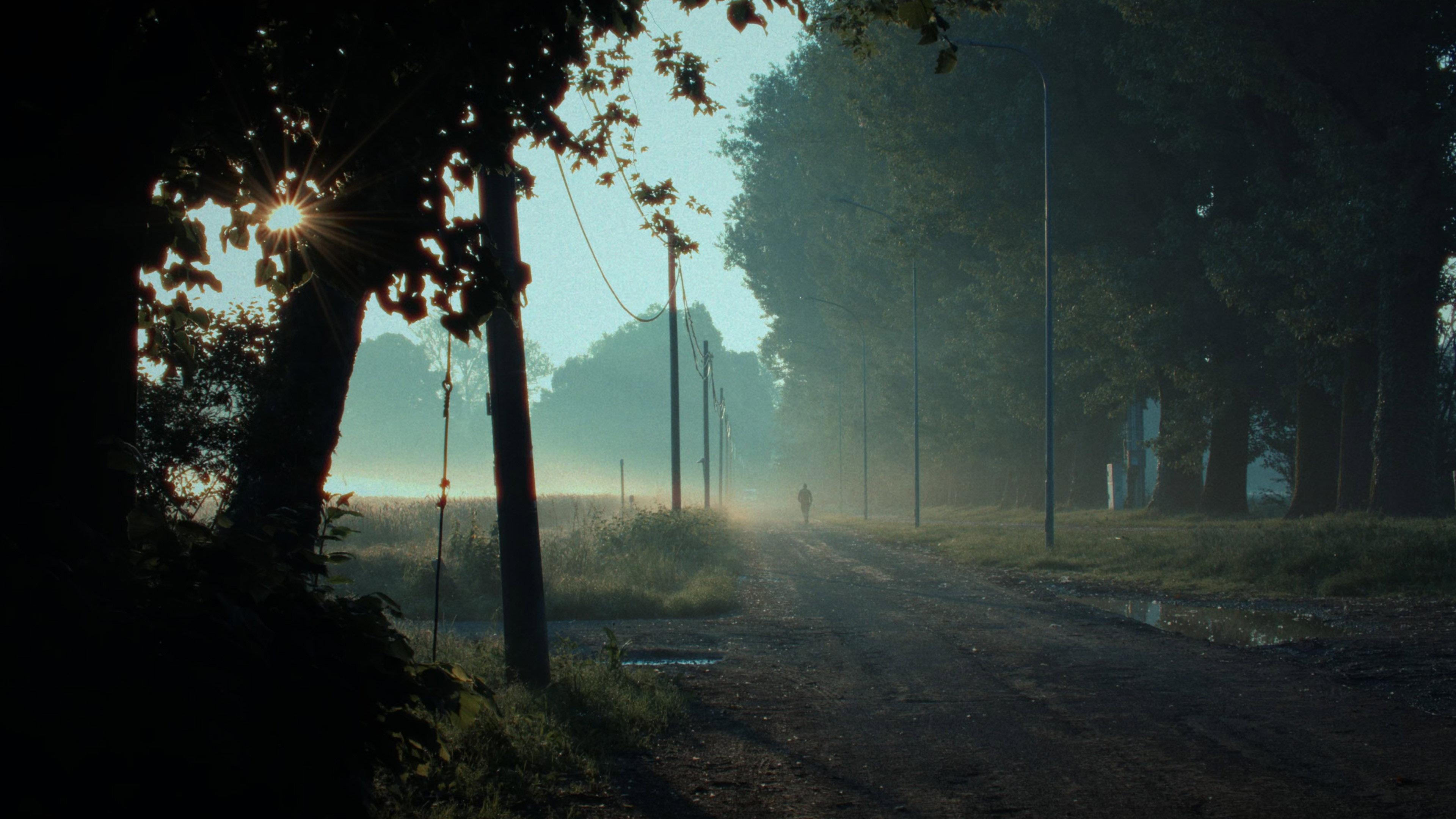 Transumanza  movie scene