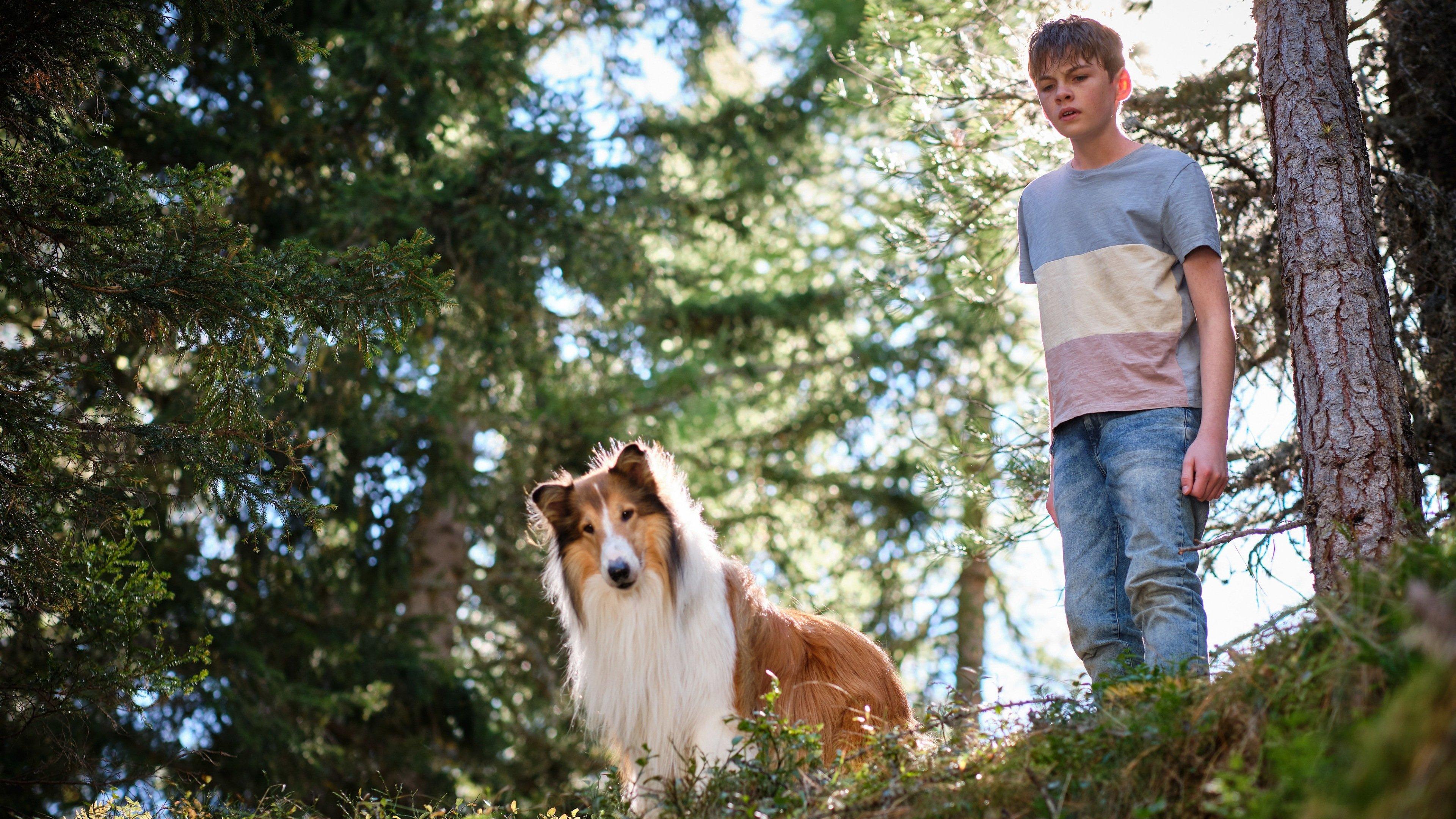 Lassie: A New Adventure 2023 movie scene
