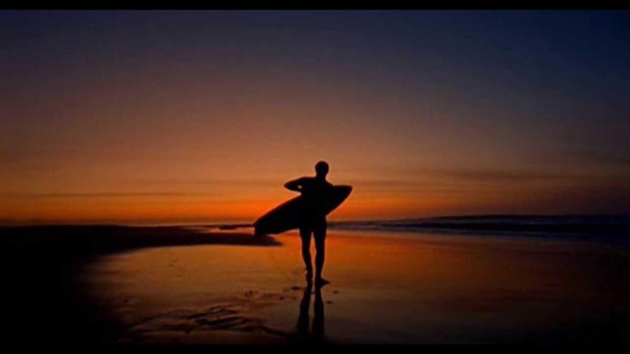Surf Adventures 2002 movie scene