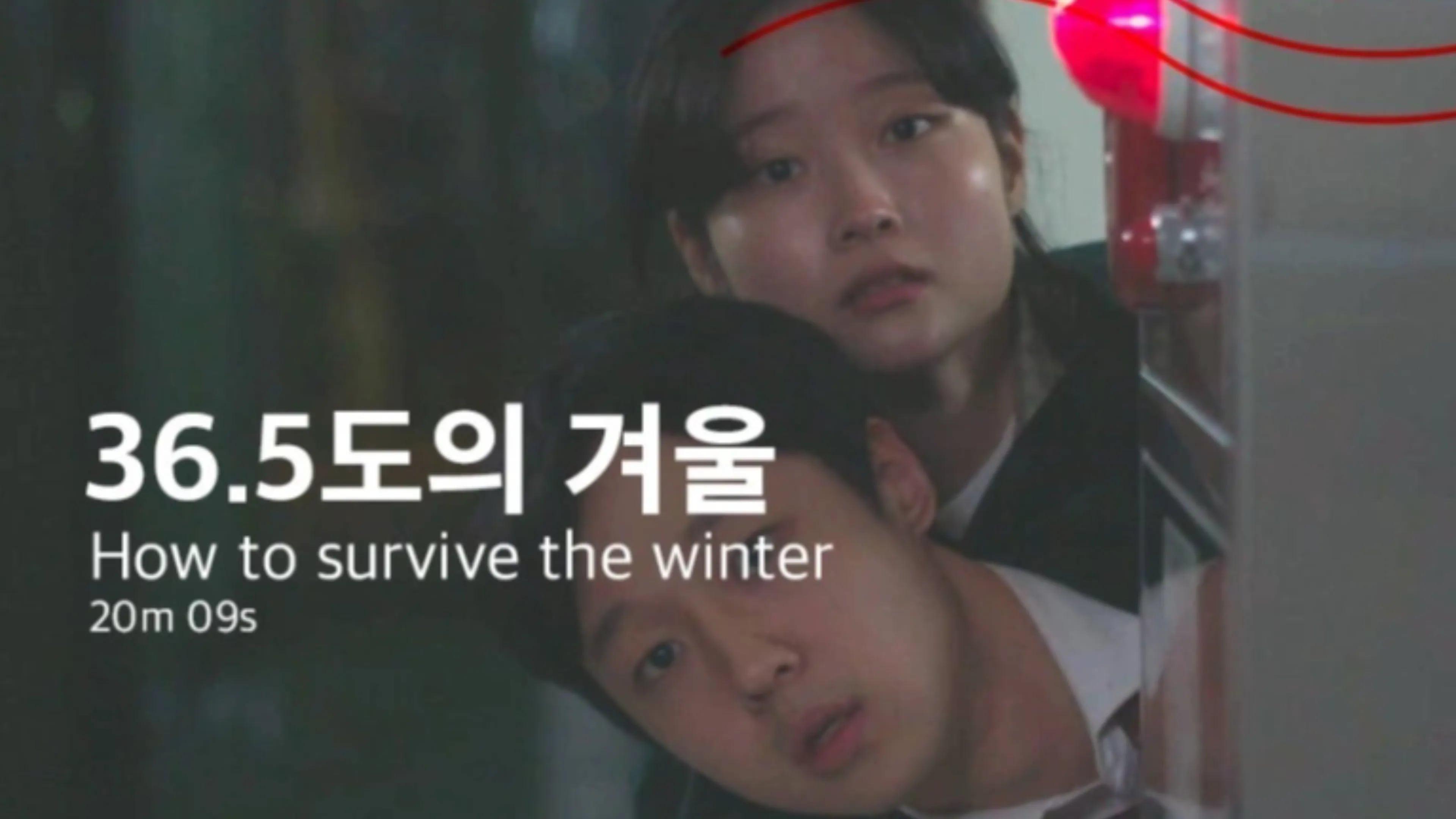 How to survive the winter 2023 movie scene