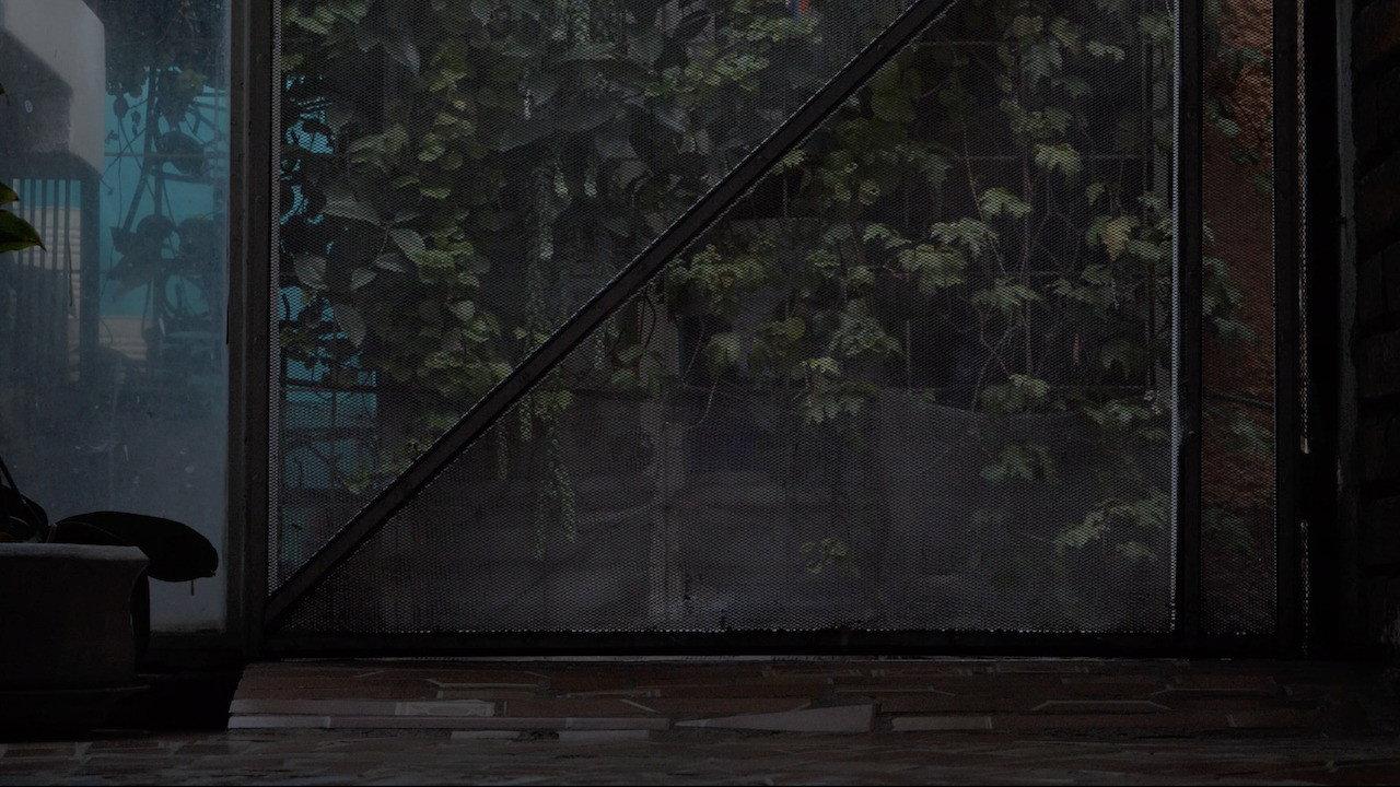 256B 2024 movie scene