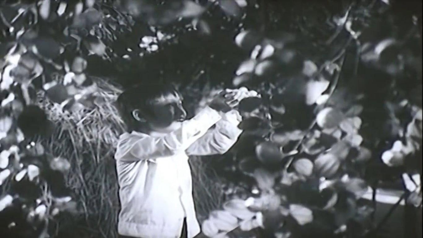When Grandmother Is Away 1985 movie scene