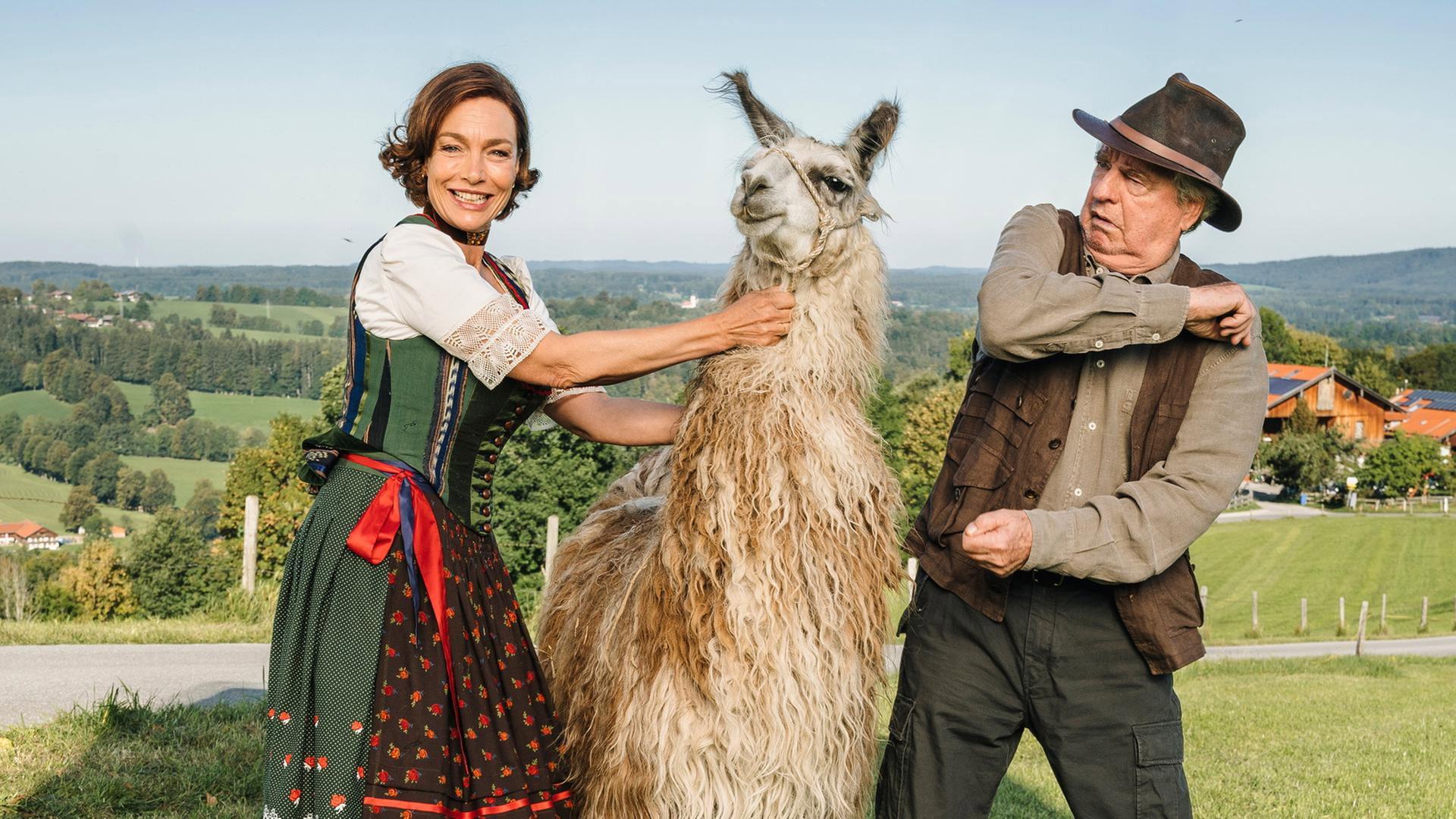 Zimmer mit Stall - Tierisch gute Ferien 2019 movie scene