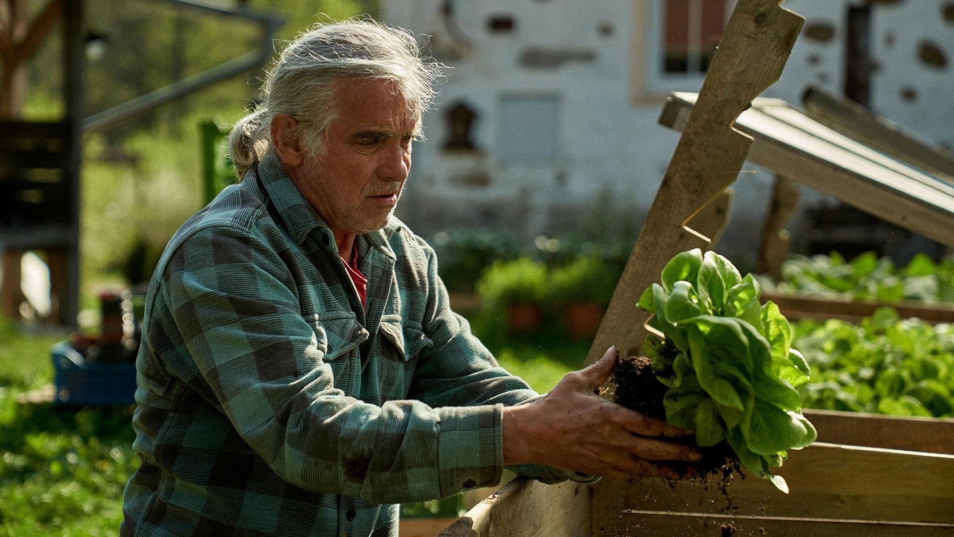 The Gardener's Year 2024 movie scene