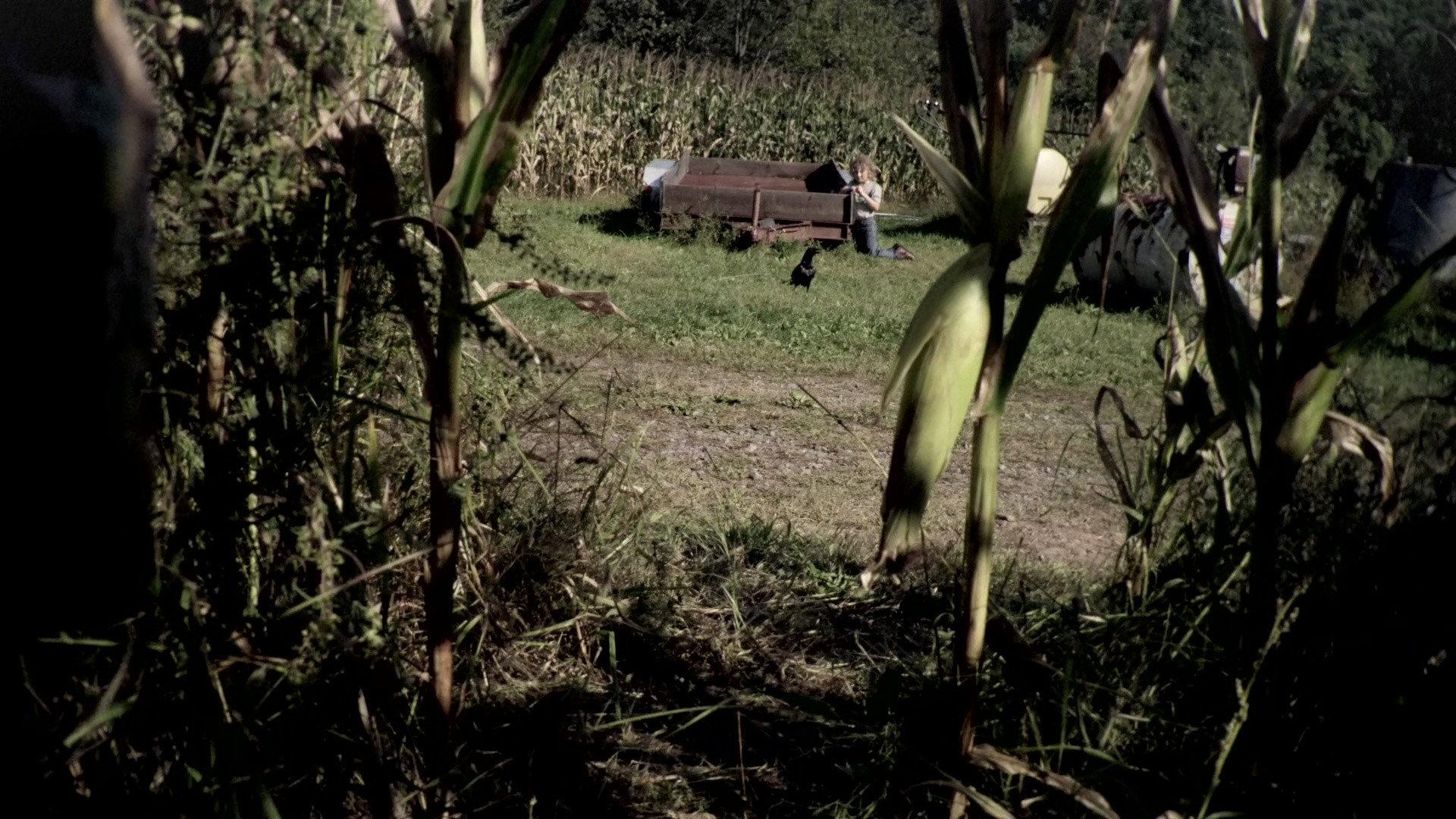 The Fields 2011 movie scene