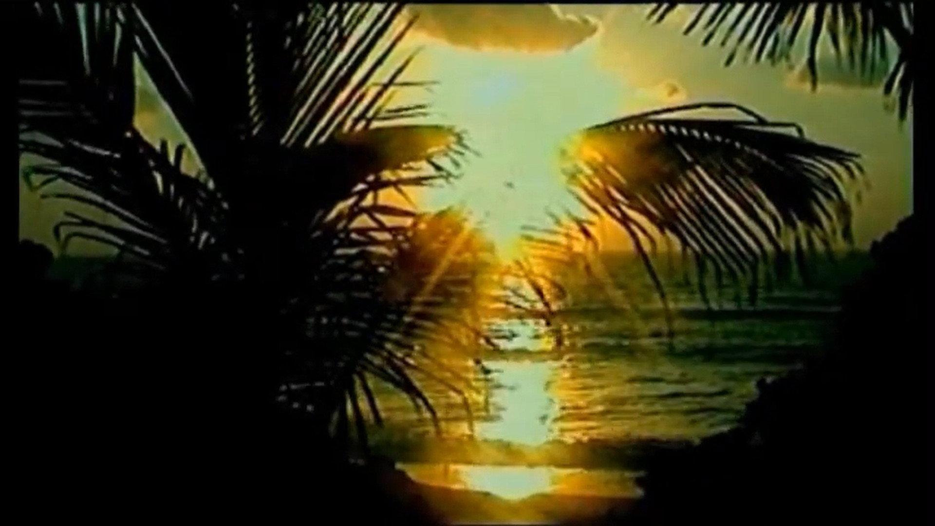Caribbean Sunrise 2002 movie scene