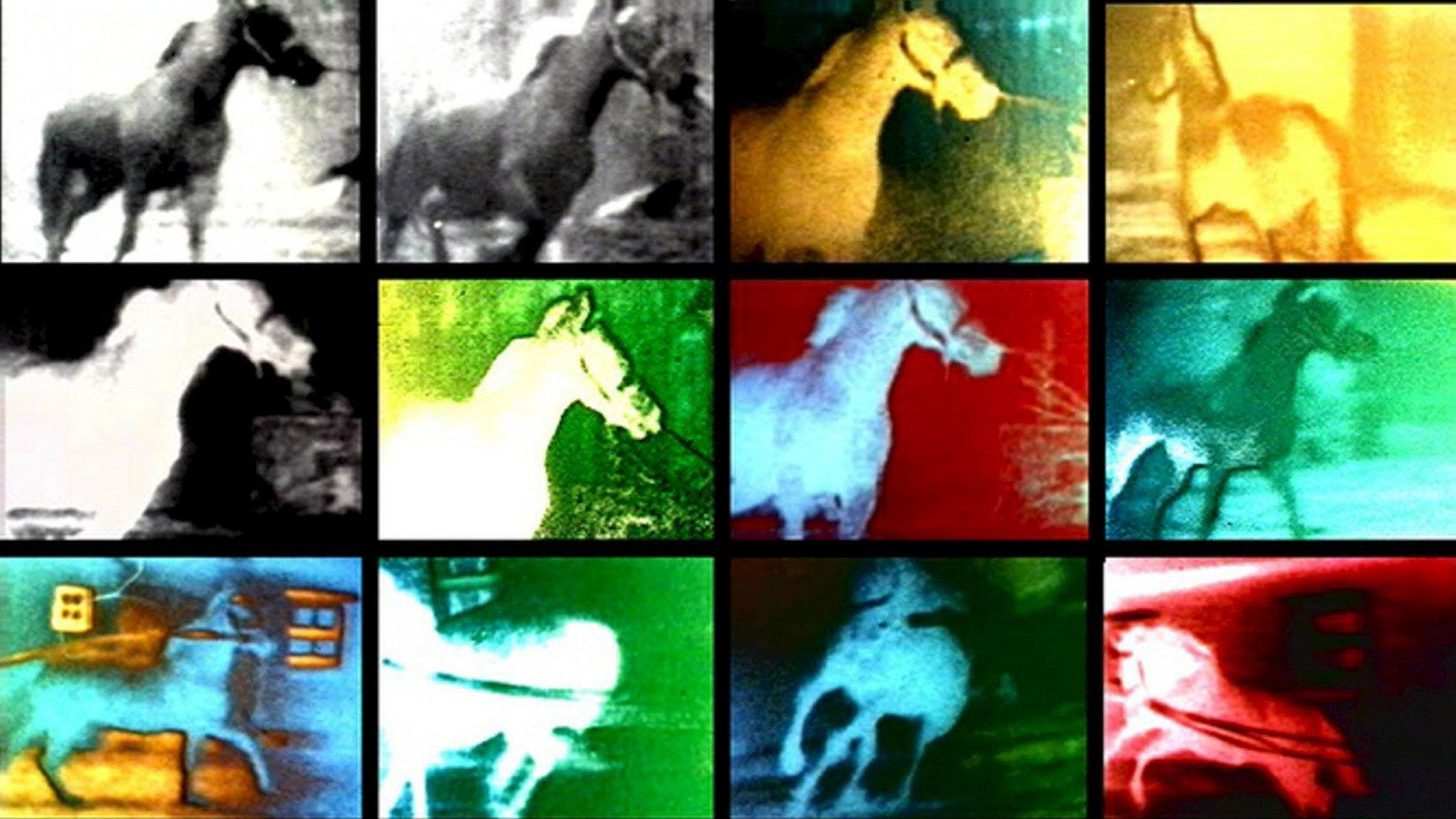 Berlin Horse 1970 movie scene