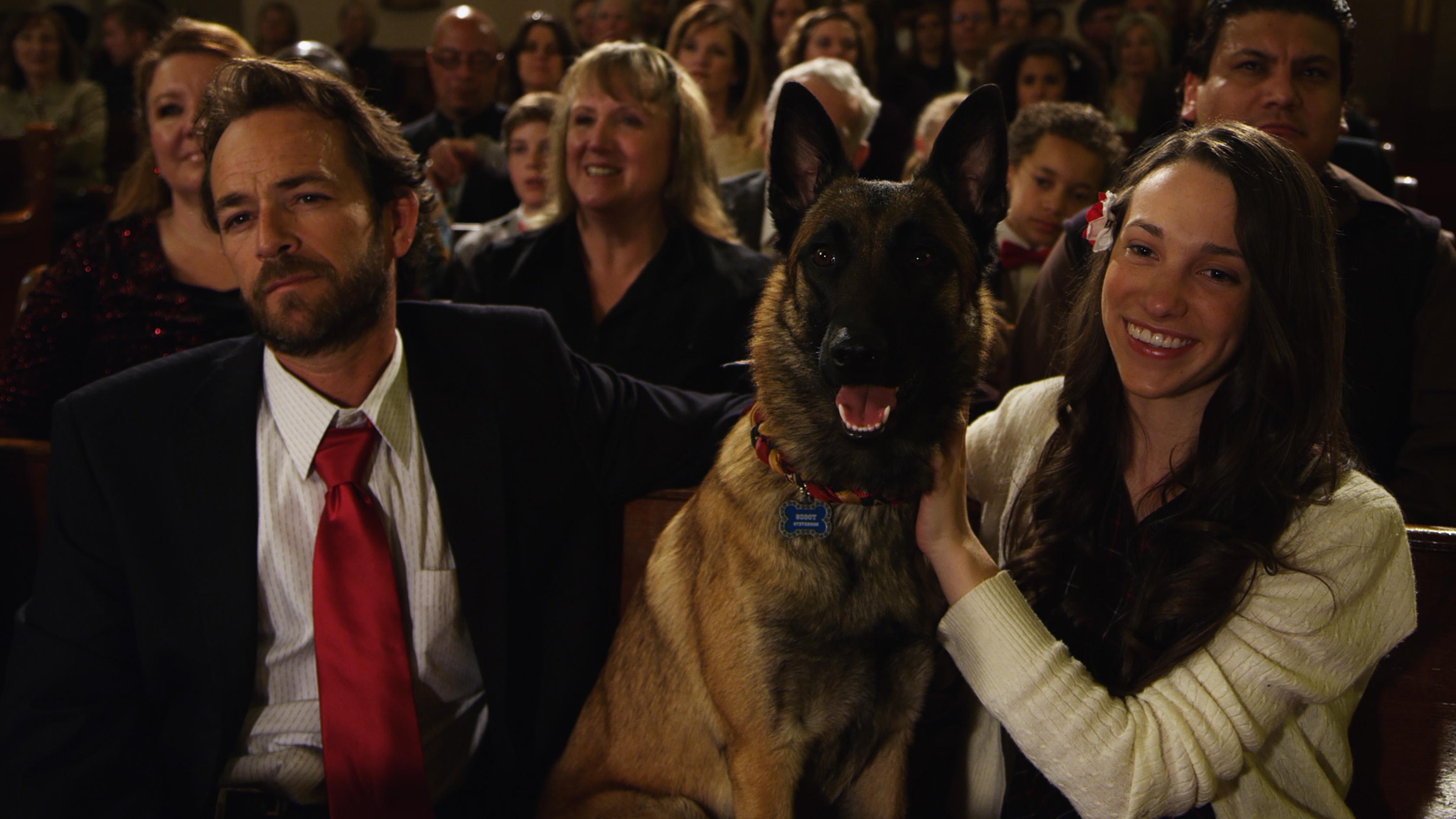 K-9 Adventures: A Christmas Tale 2013 movie scene