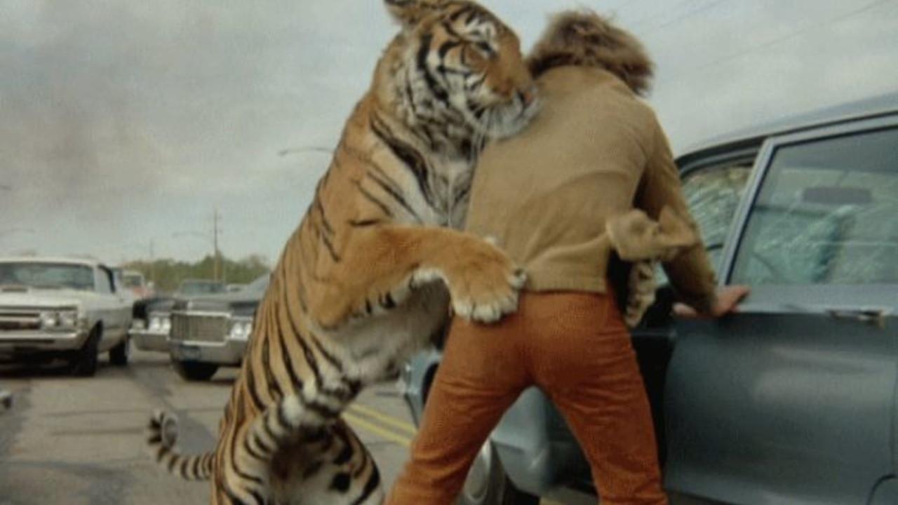 The Beasts Are on the Streets 1978 movie scene