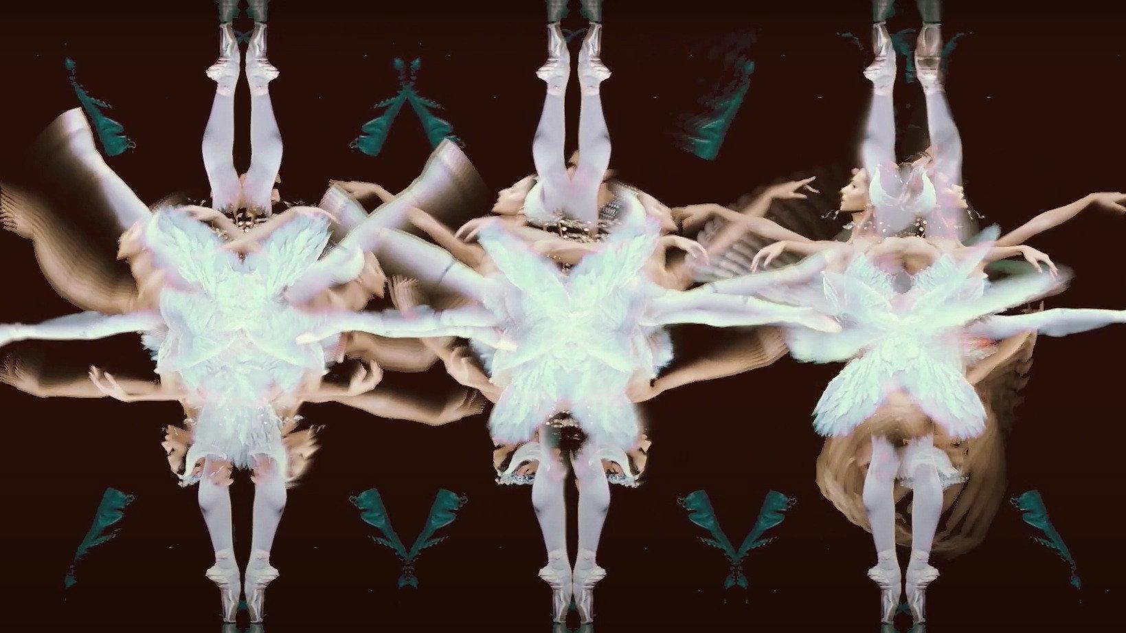 Cygnes 2024 movie scene