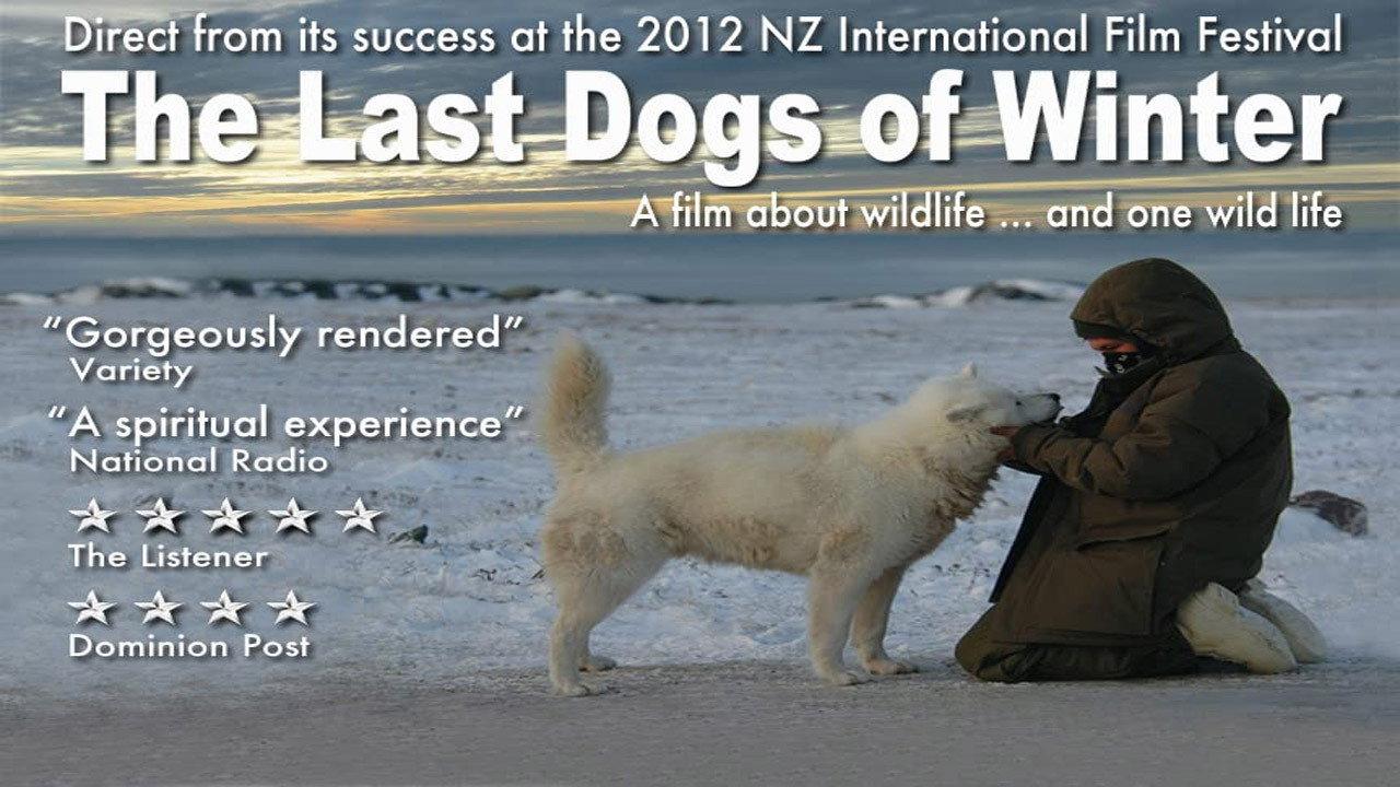 The Last Dogs of Winter 2012 movie scene