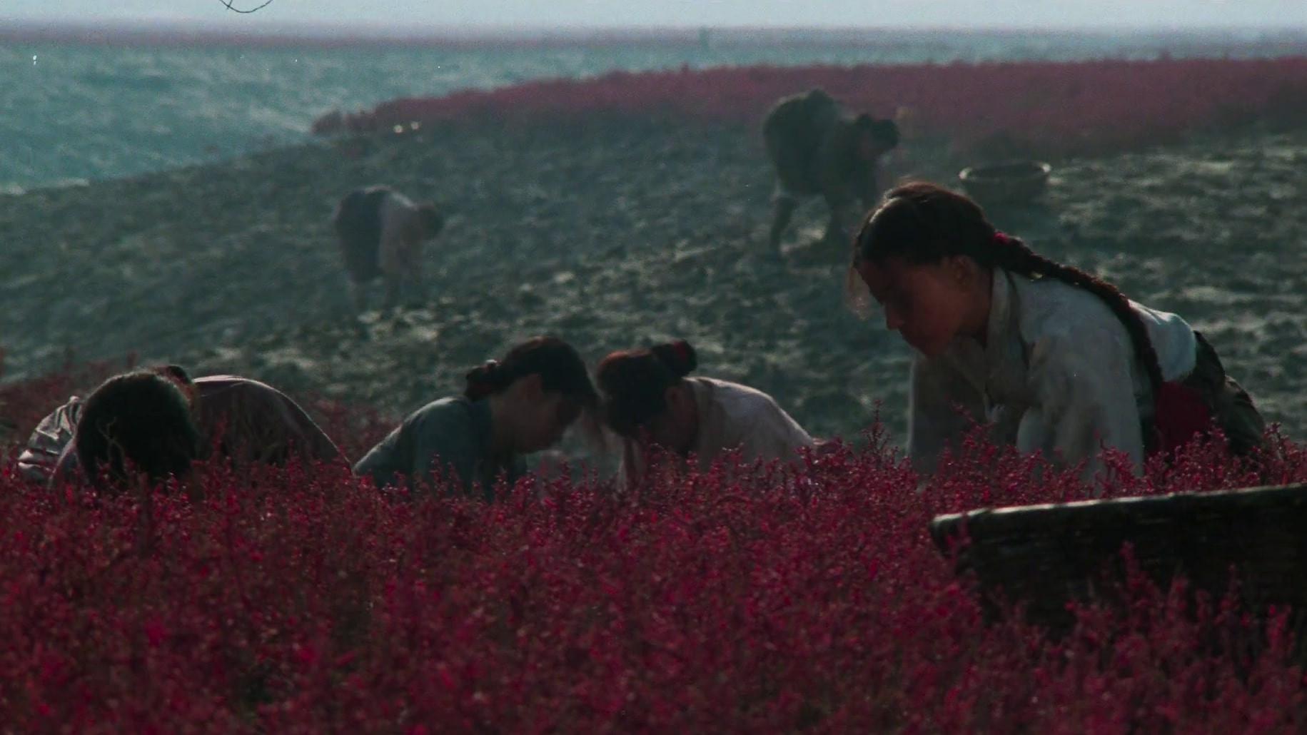 Life Line 1986 movie scene