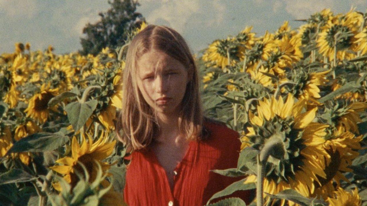 Alice and the Sunflowers 2022 movie scene