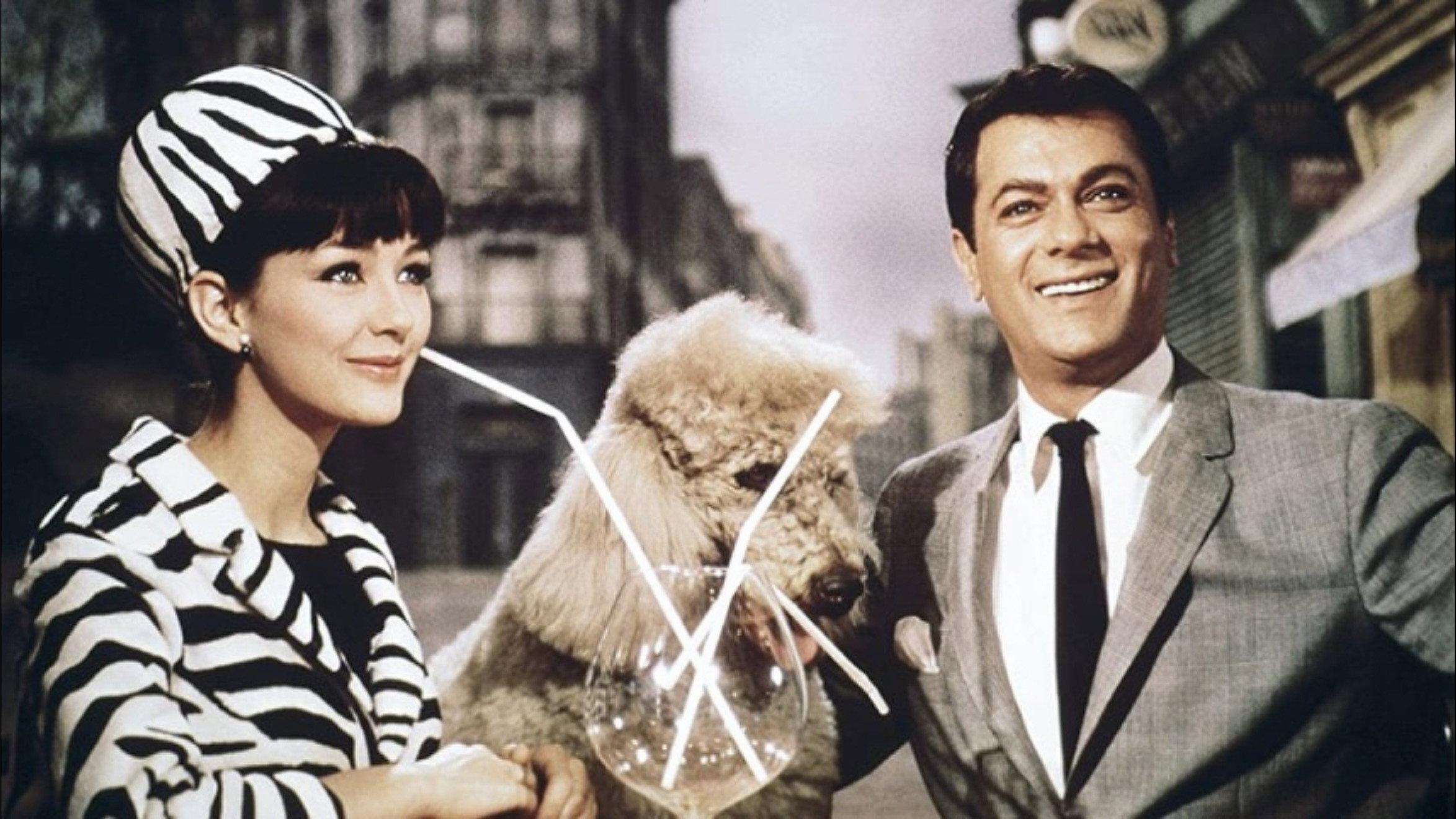 Wild and Wonderful 1964 movie scene