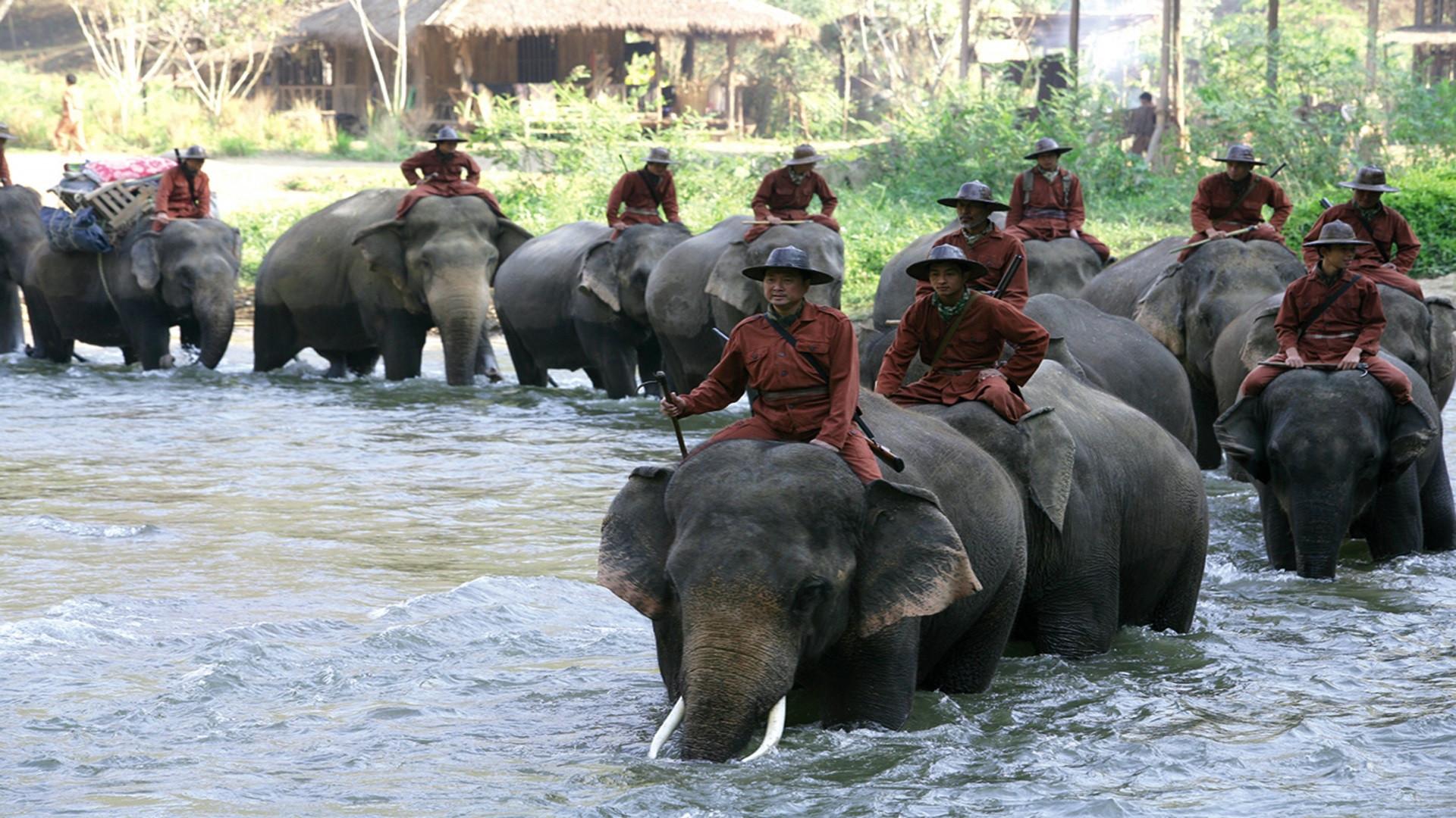 Sunny and the Elephant 2008 movie scene