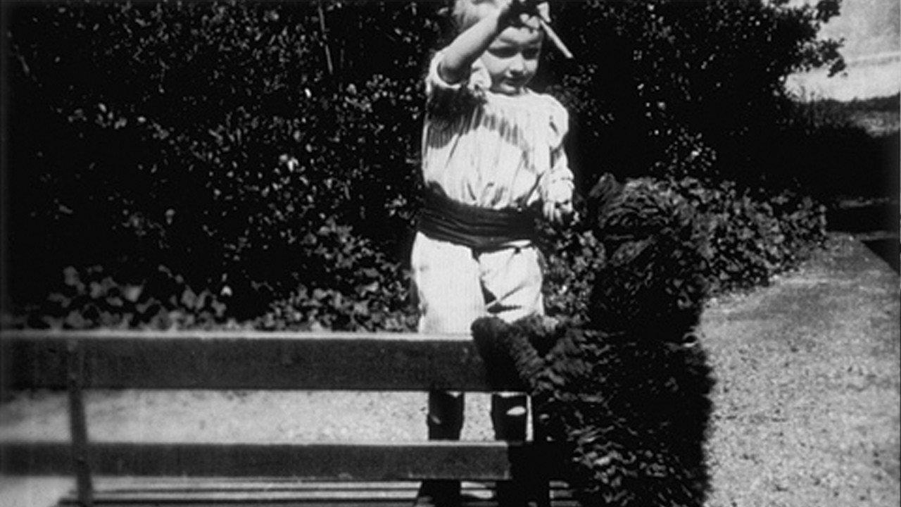 Enfant et chien 1896 movie scene