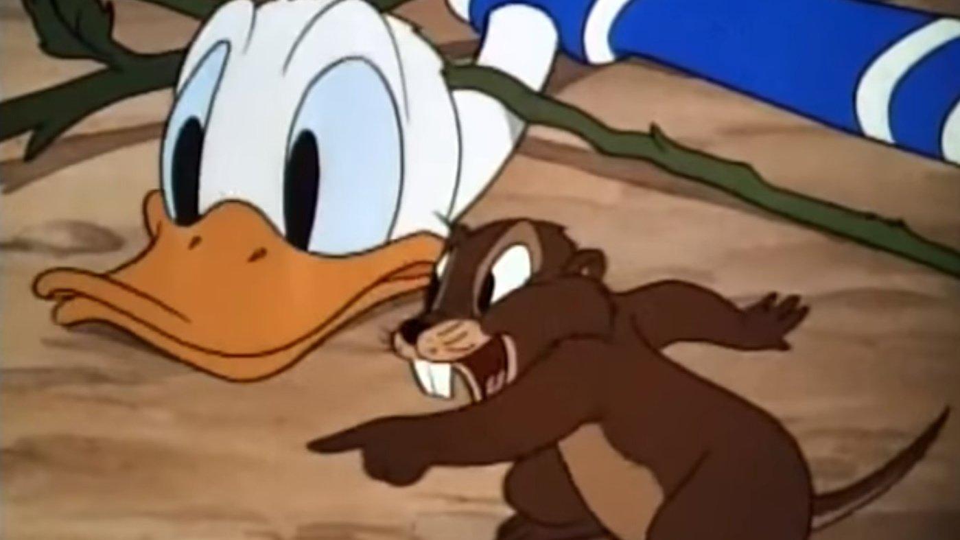 Donald's Garden 1942 movie scene